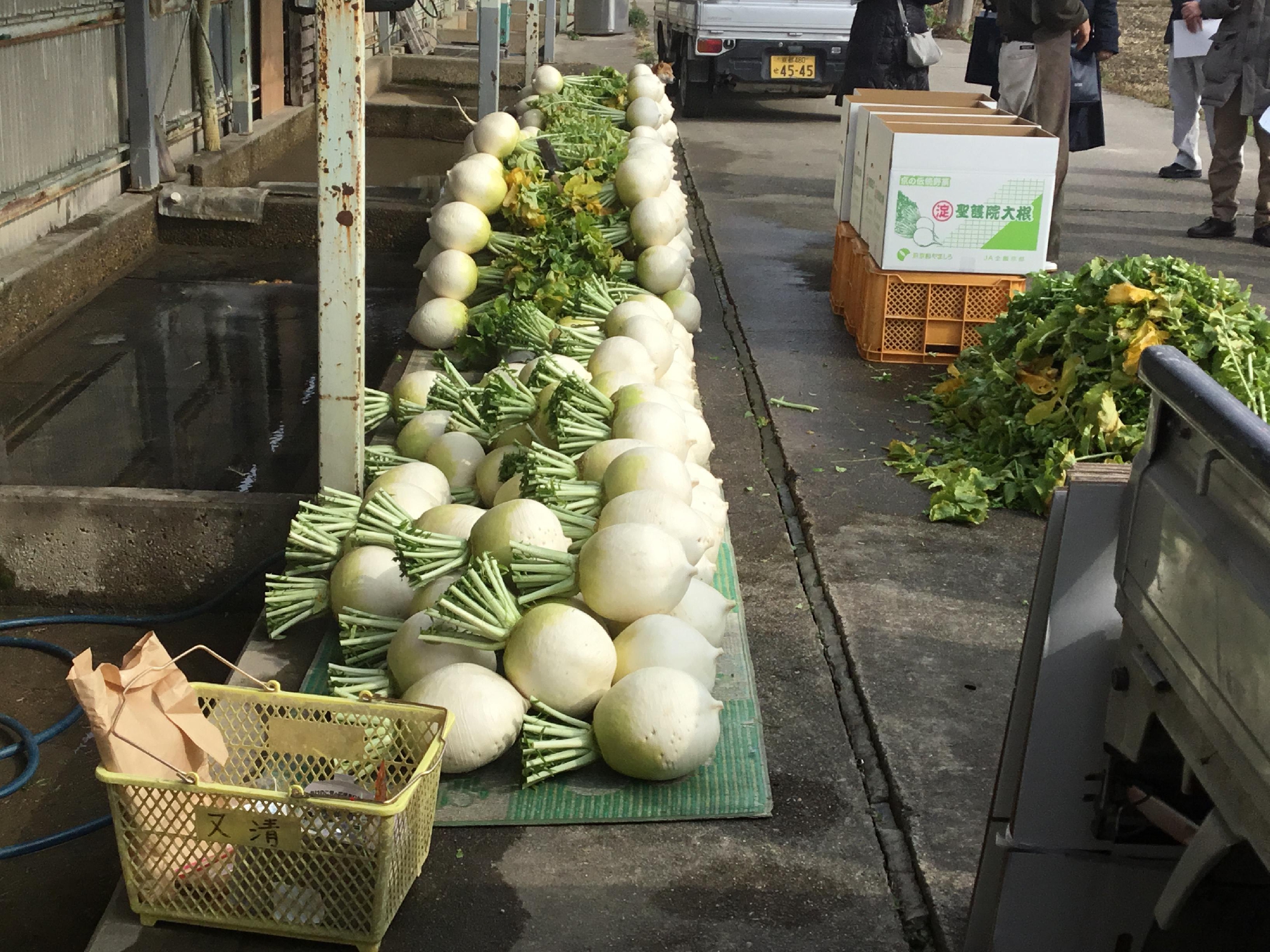 ２０２３年　おせち料理のインスパイアを得るため、京野菜　佐伯さんに会いに行ってきます。行ってきます。