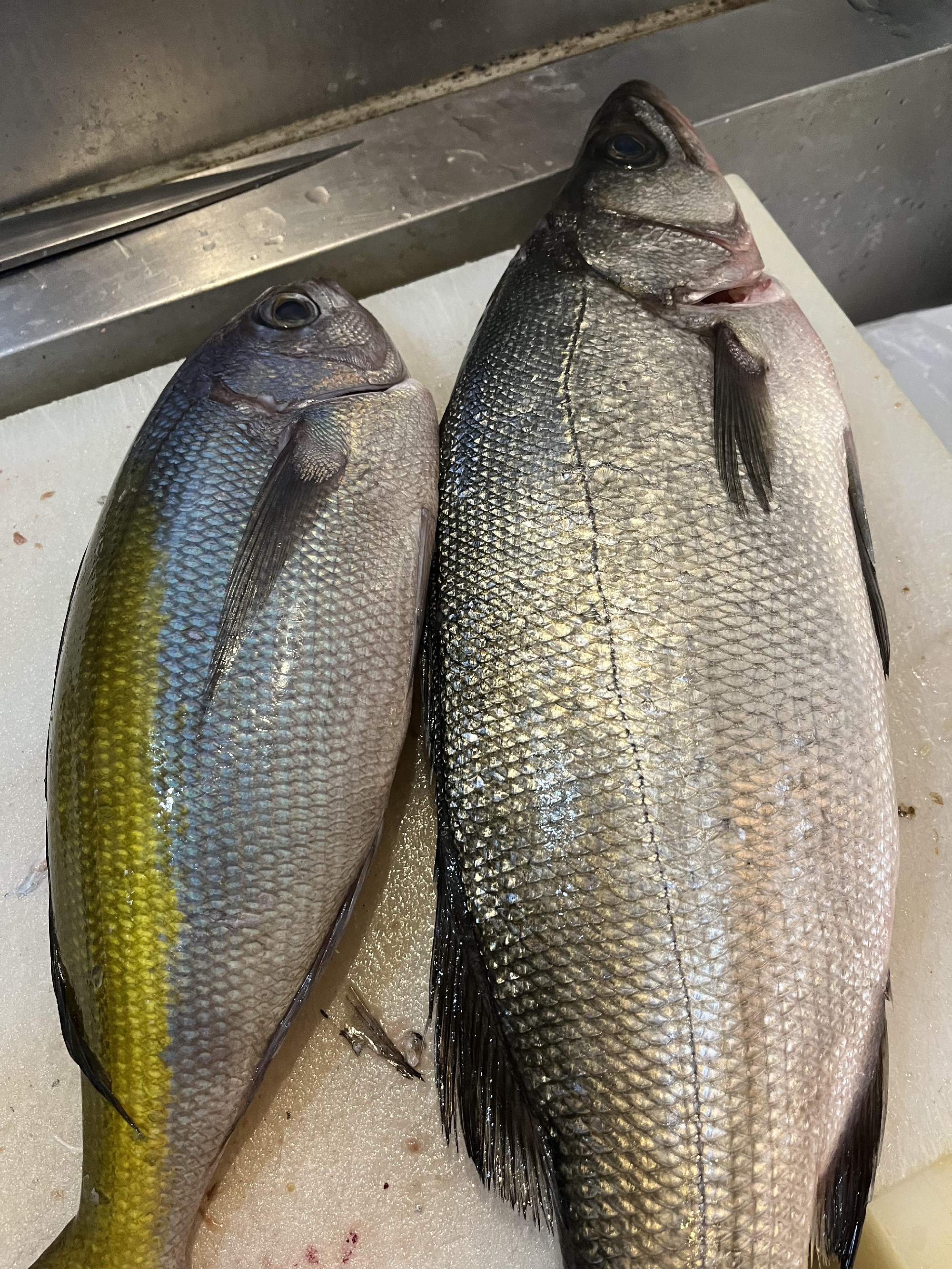 コロナ感染拡大のため、連日　ご予約がキャンセルとなっております。しばらくは前日までのご予約制とさせていただきます。