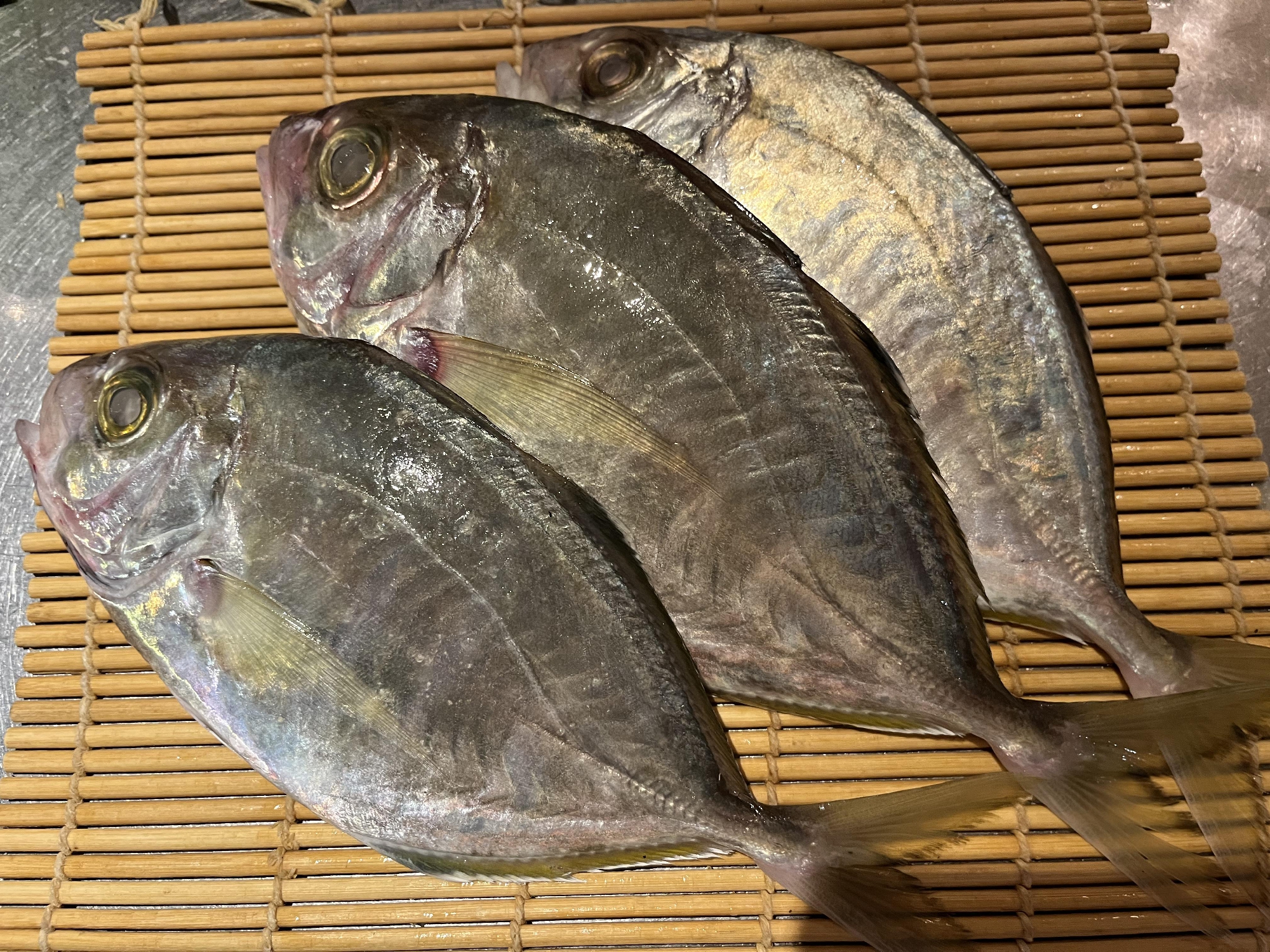 本日のランチのおすすめ