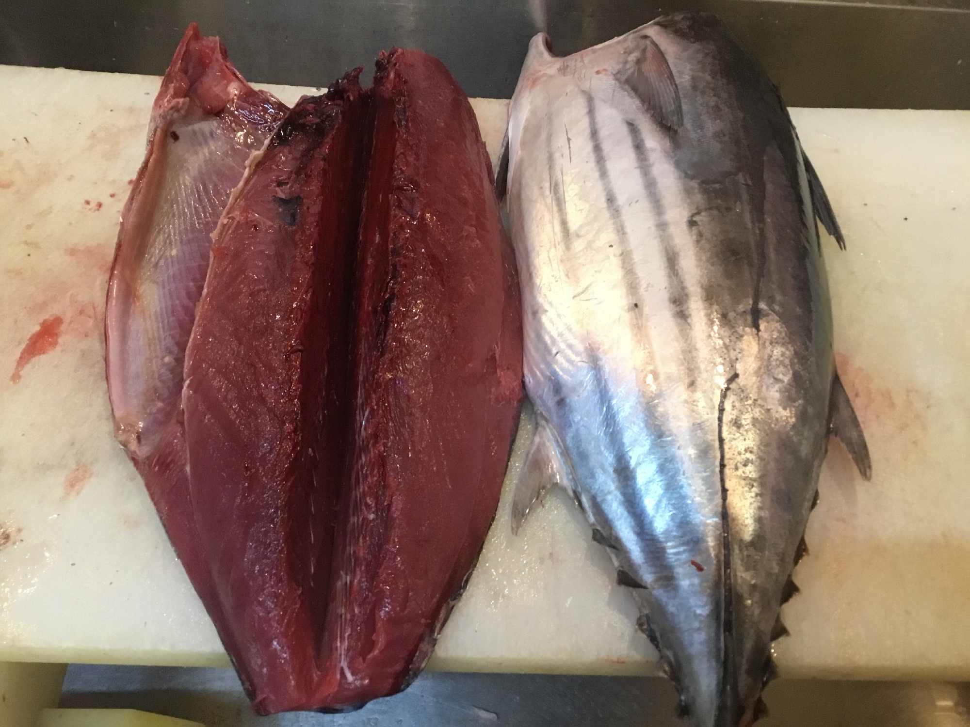 鹿児島 5.4キロ 初鰹