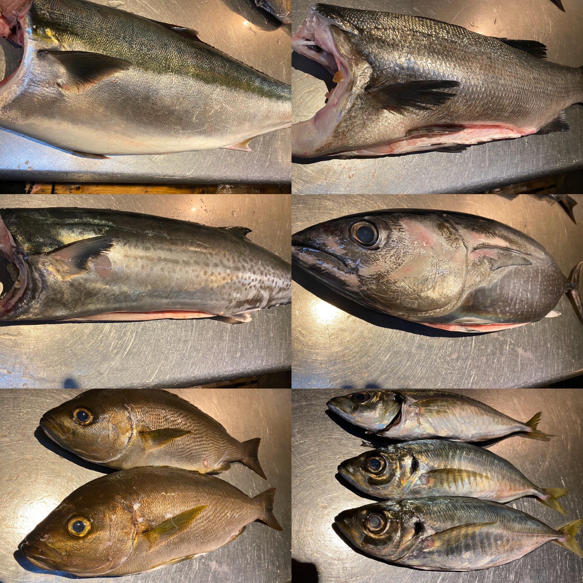 長崎　五島列島　福江島より