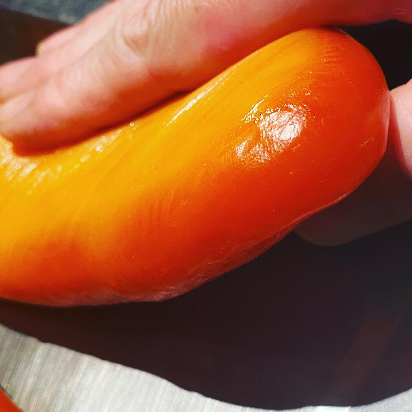 本日の夜の営業は、お休みさせていただきます。