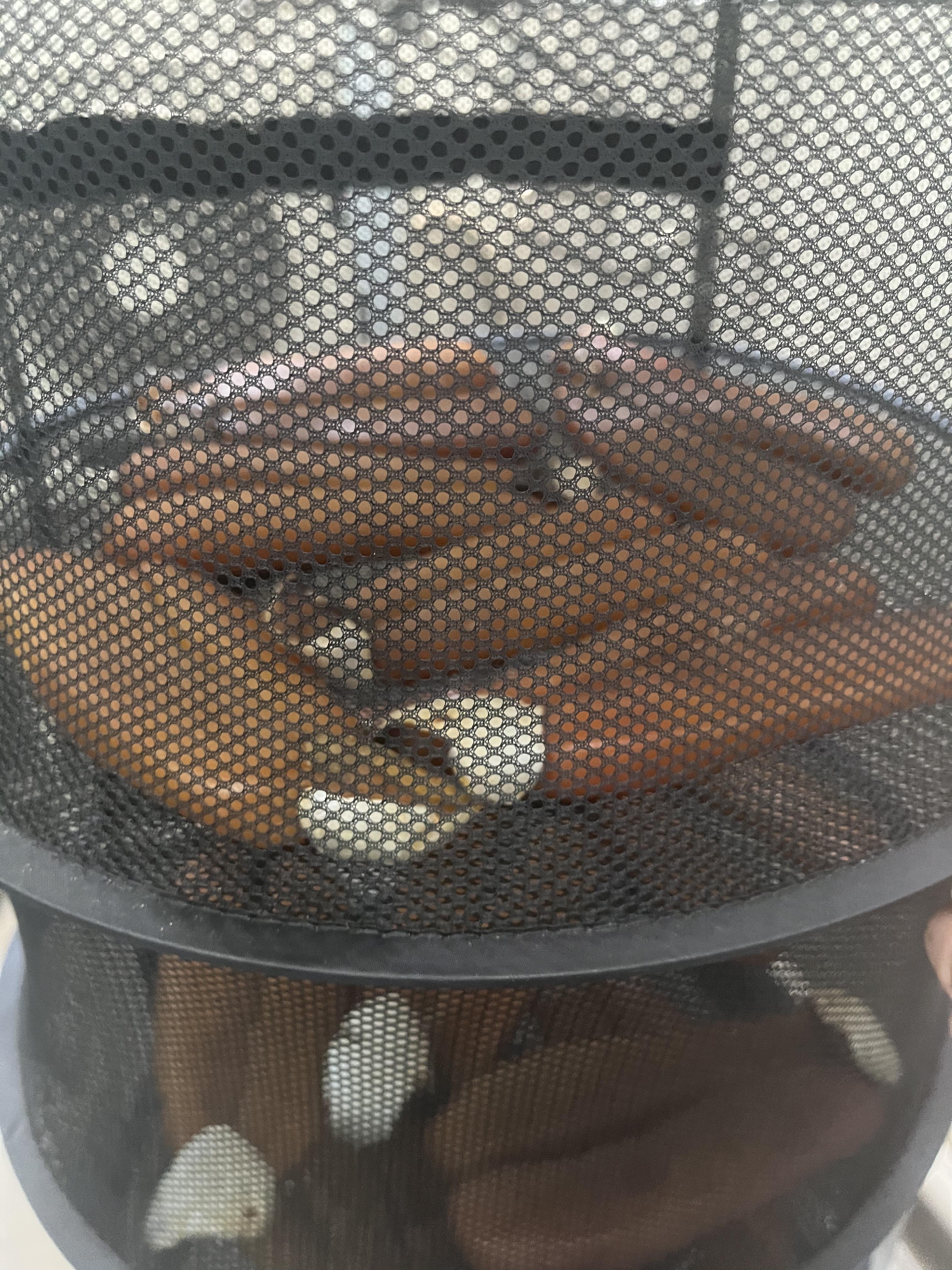 カラスミの仕込み　風は当てずに、乾燥を見極める