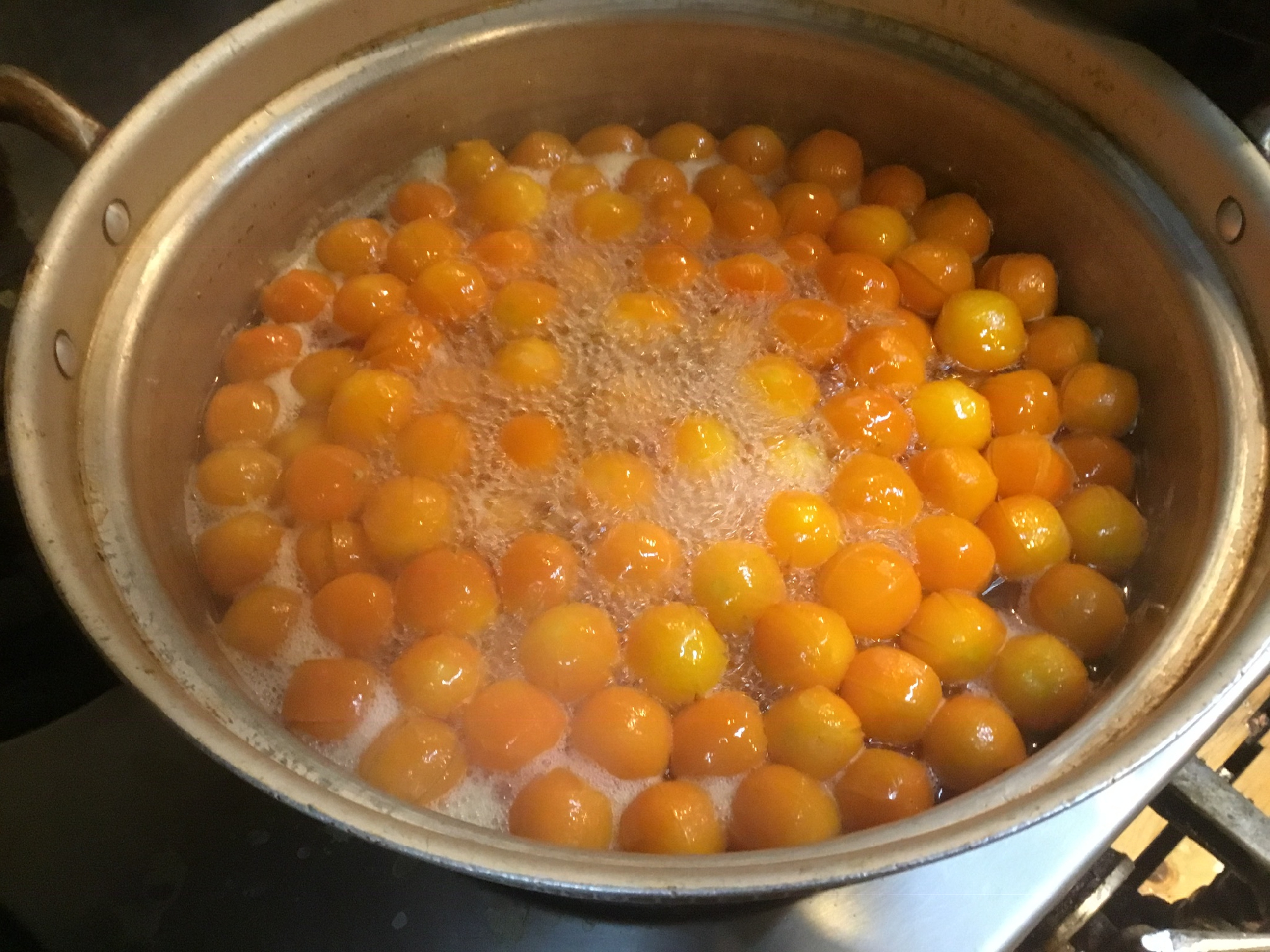 昨日から本格的に