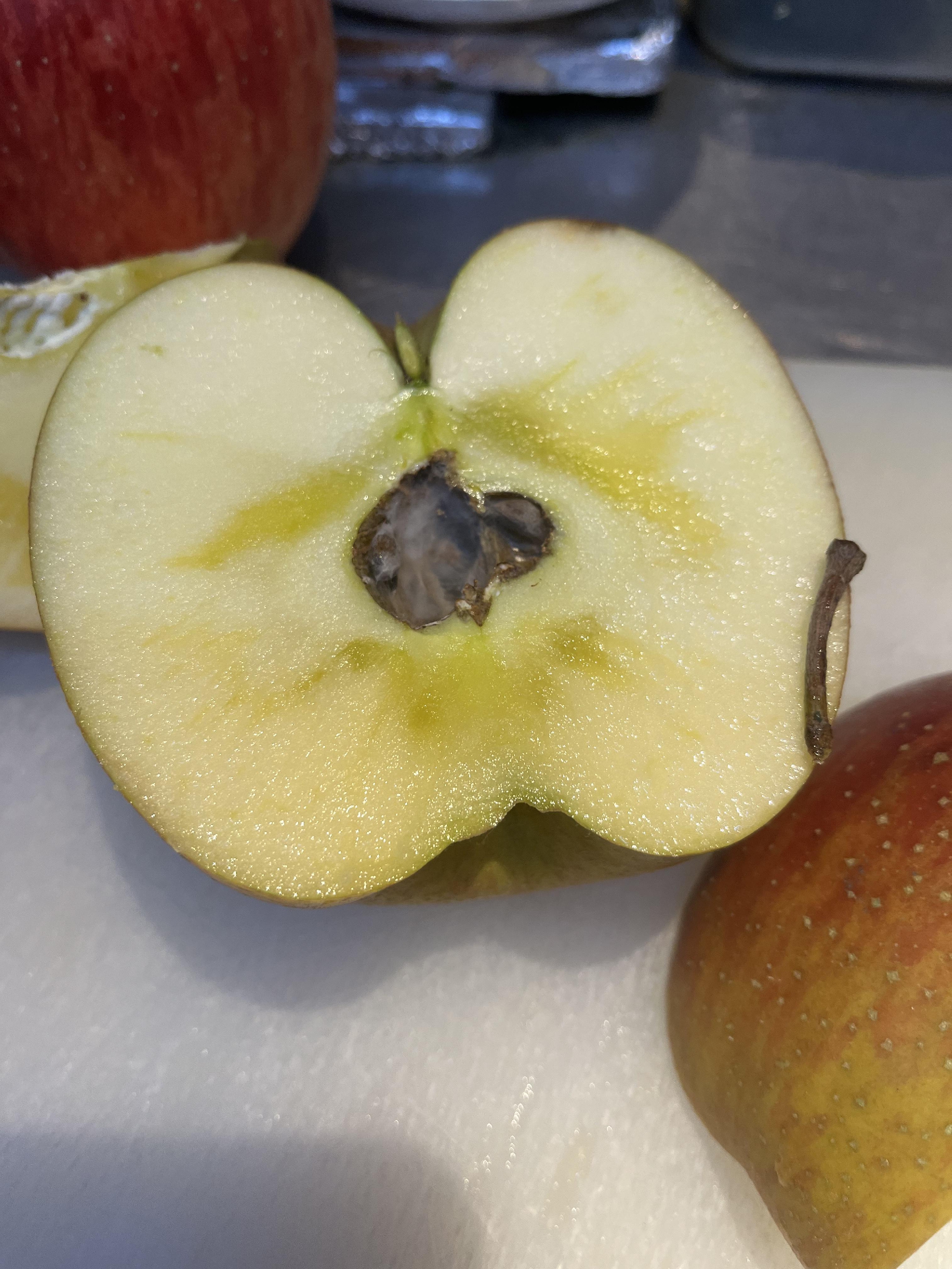 故郷　岩手　盛岡より　木で熟し、傷ついた不揃いのりんごたち