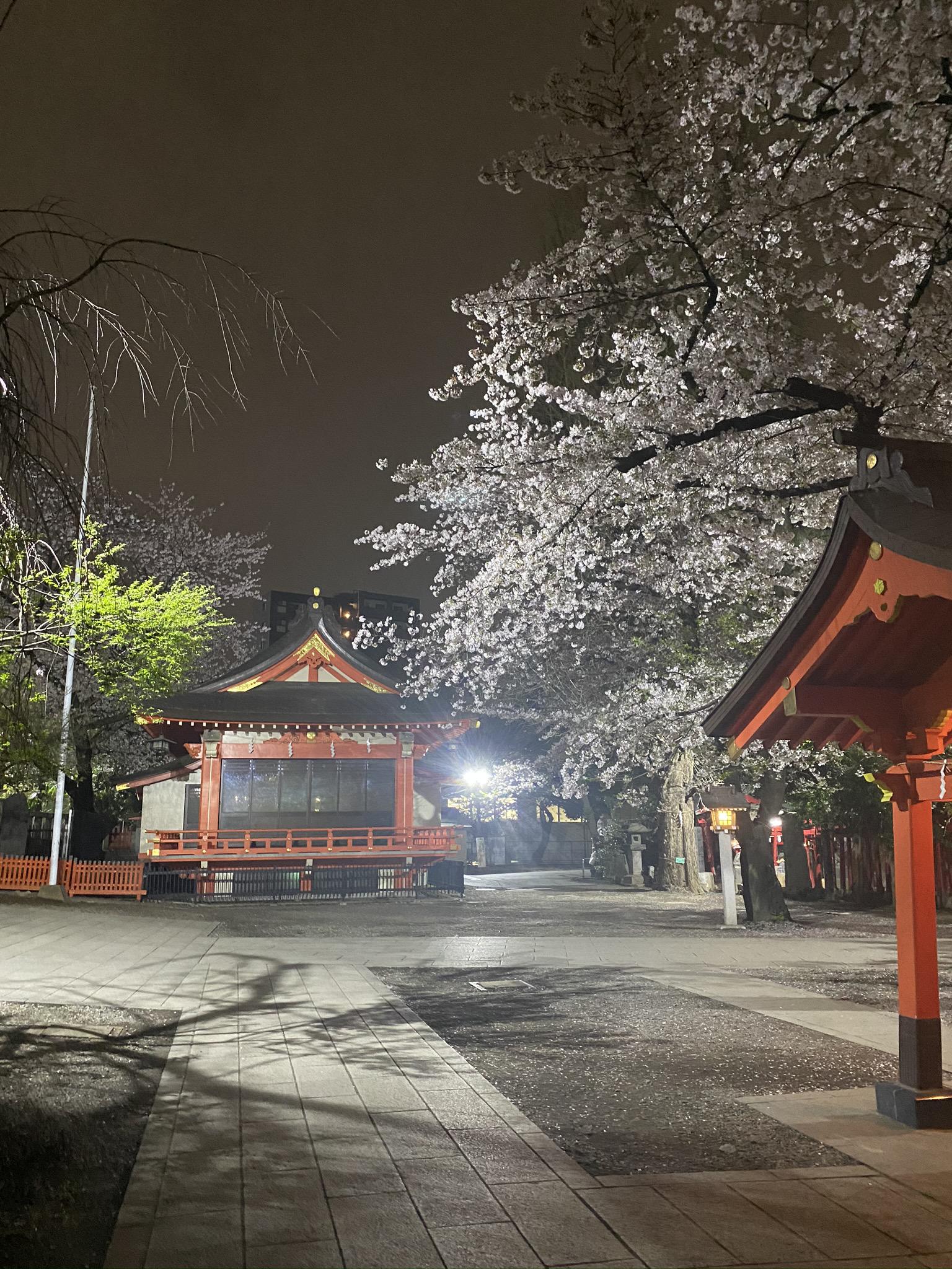 本日の夜の営業に関しまして