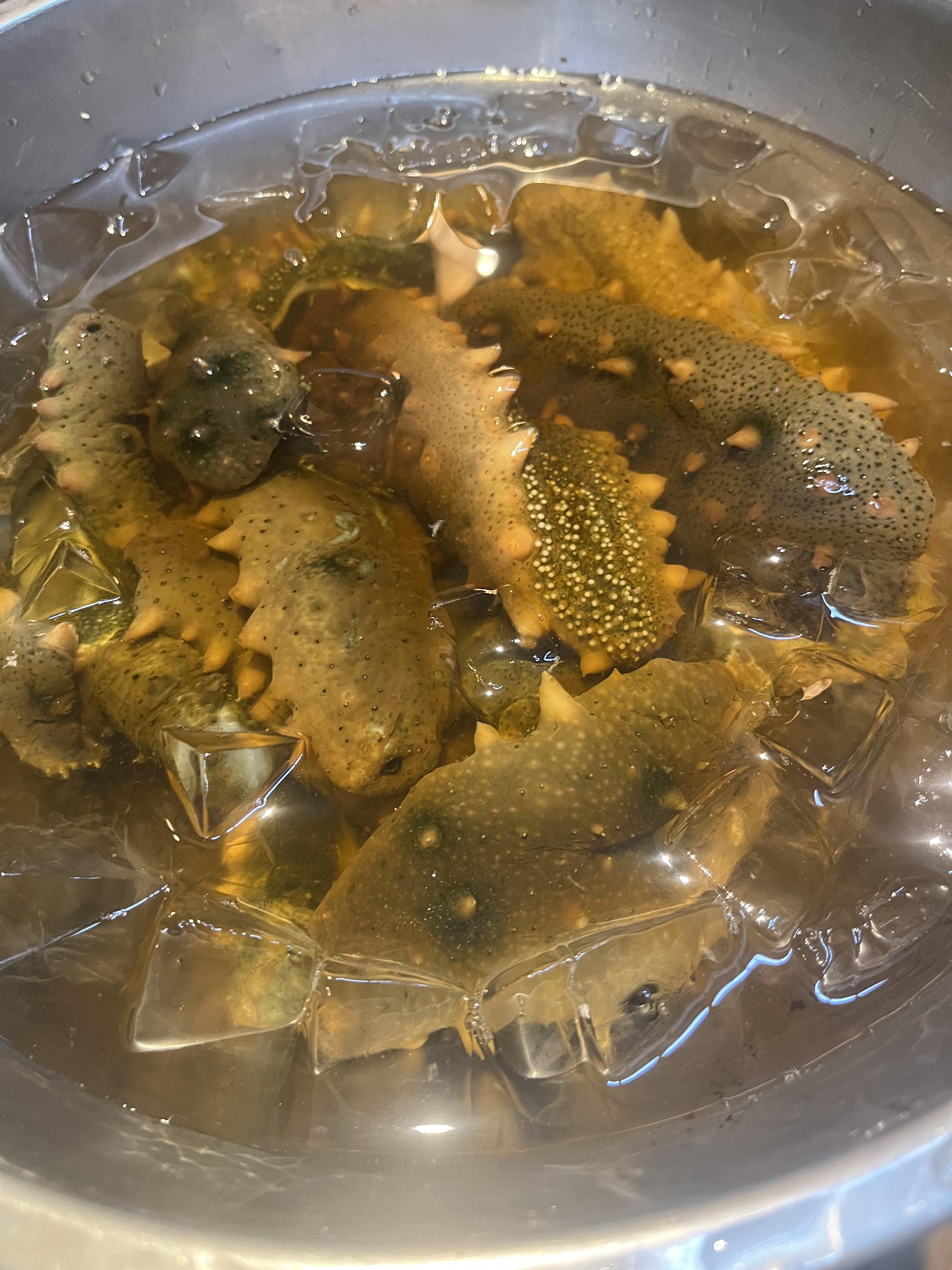 京丹後　阿蘇海のなまこ