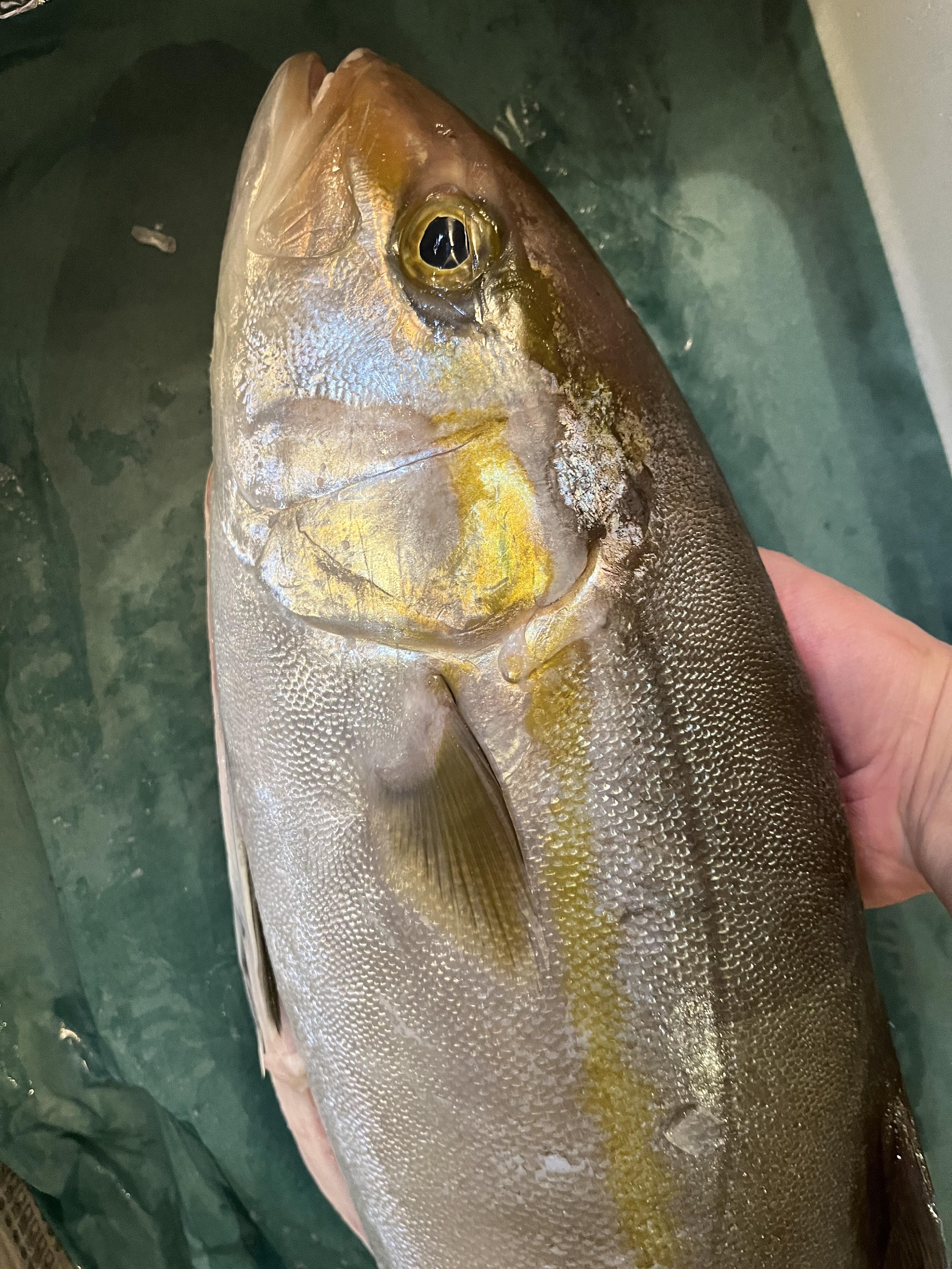 時化の中…漁師さんに感謝