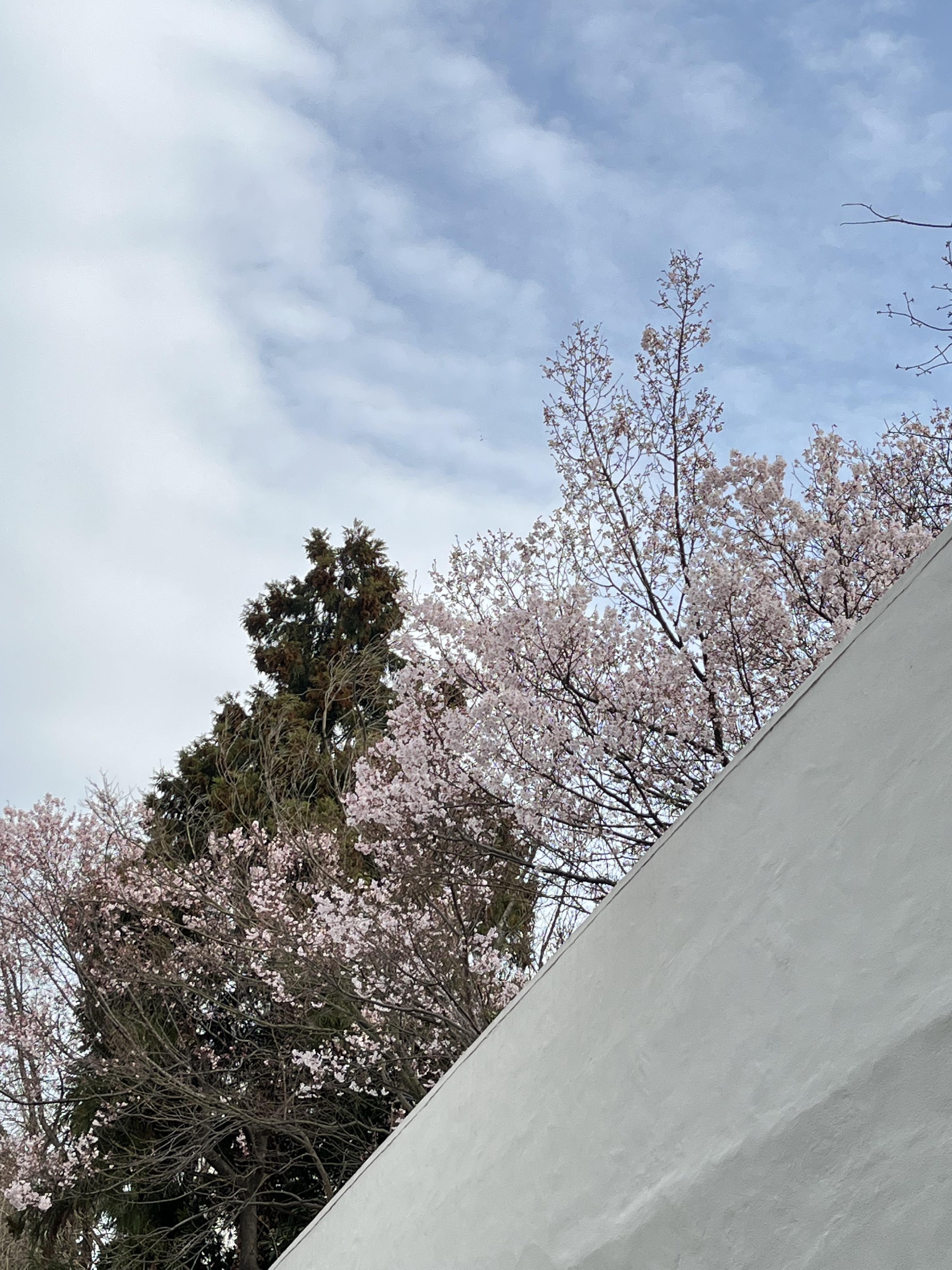 蔓延防止等充填措置解除　22日以降の営業に関しまして