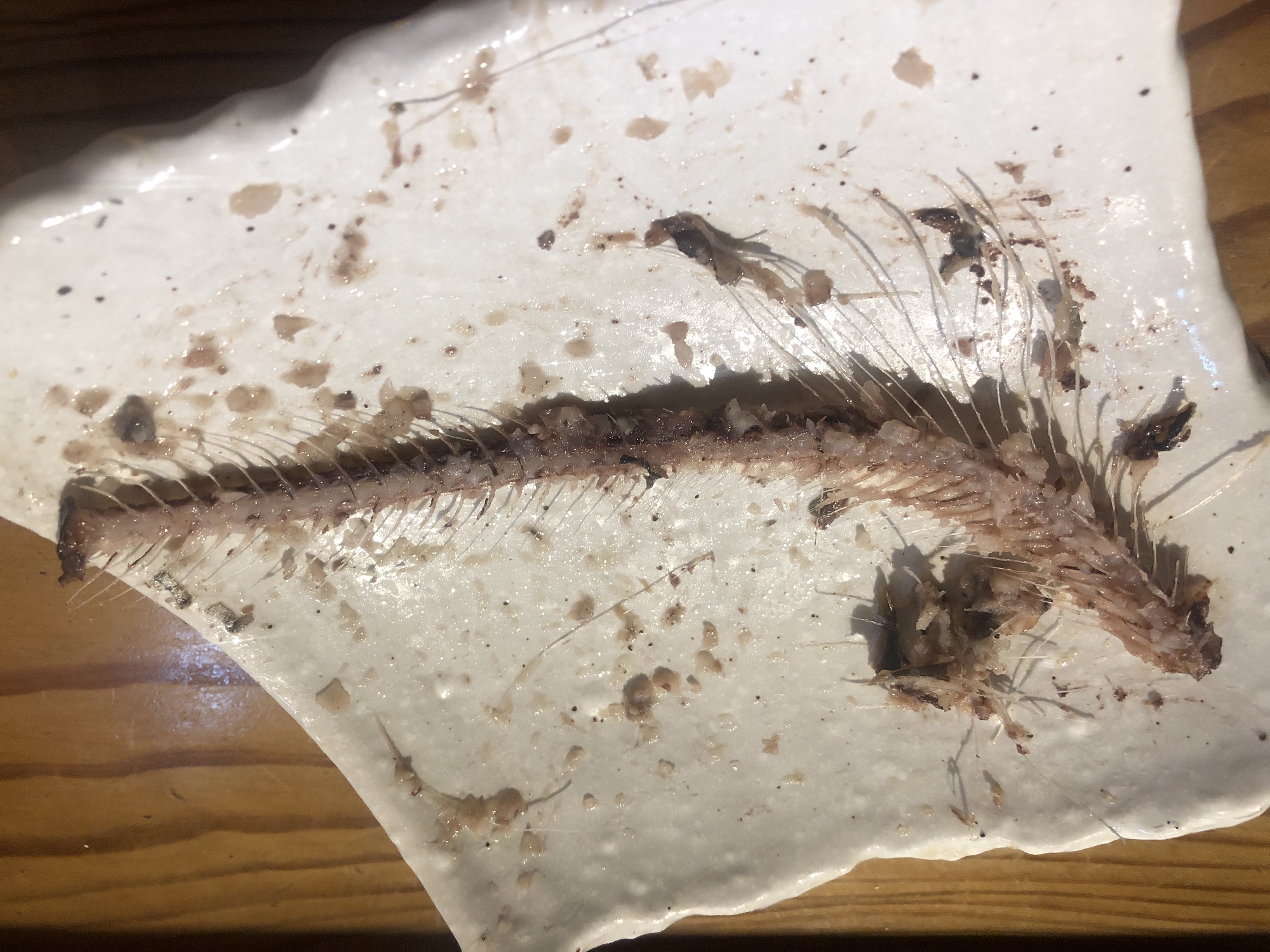 何の骨だか分かりますか？