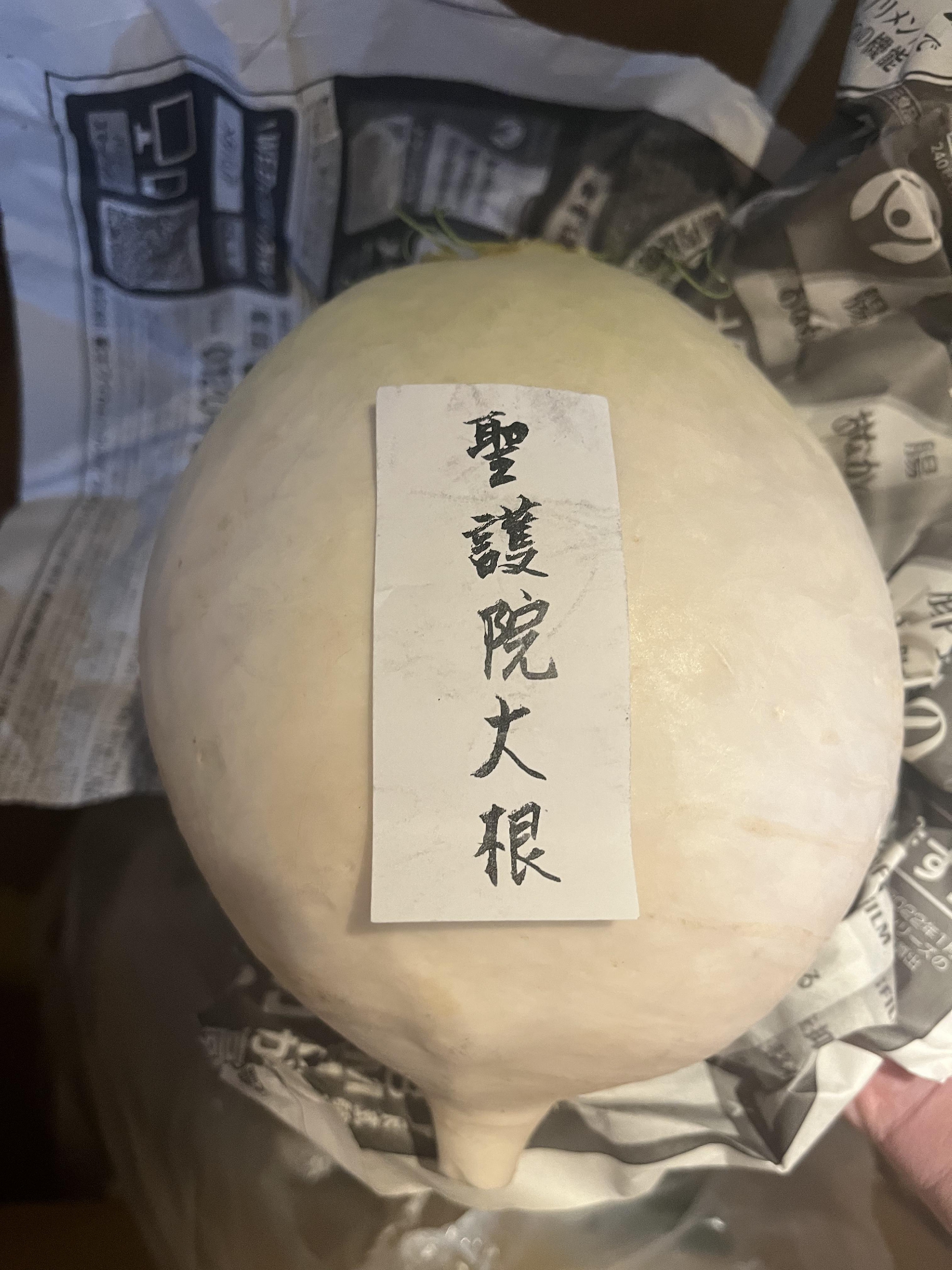 京野菜　佐伯さんの聖護院大根