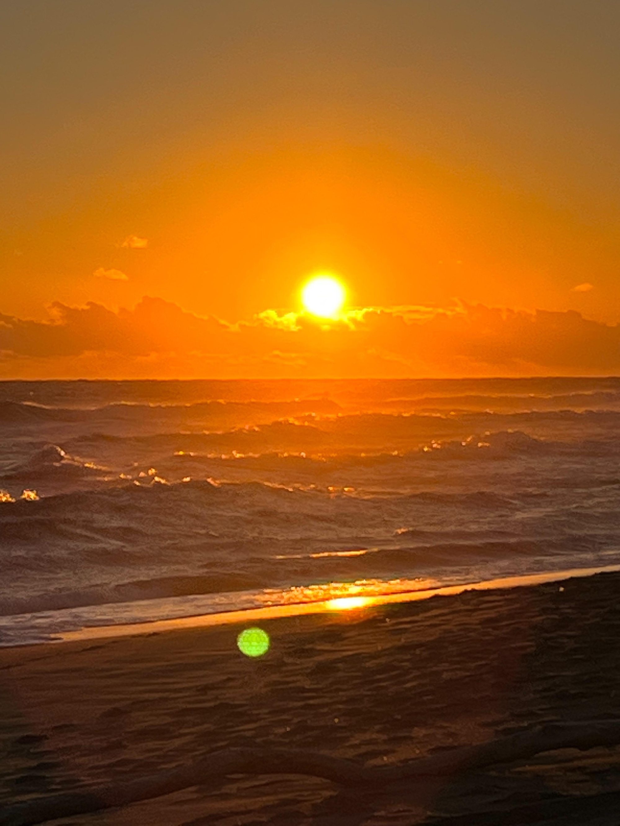 新年、明けましておめでとうございます。本年も本年も宜しくお願い申し上げます。