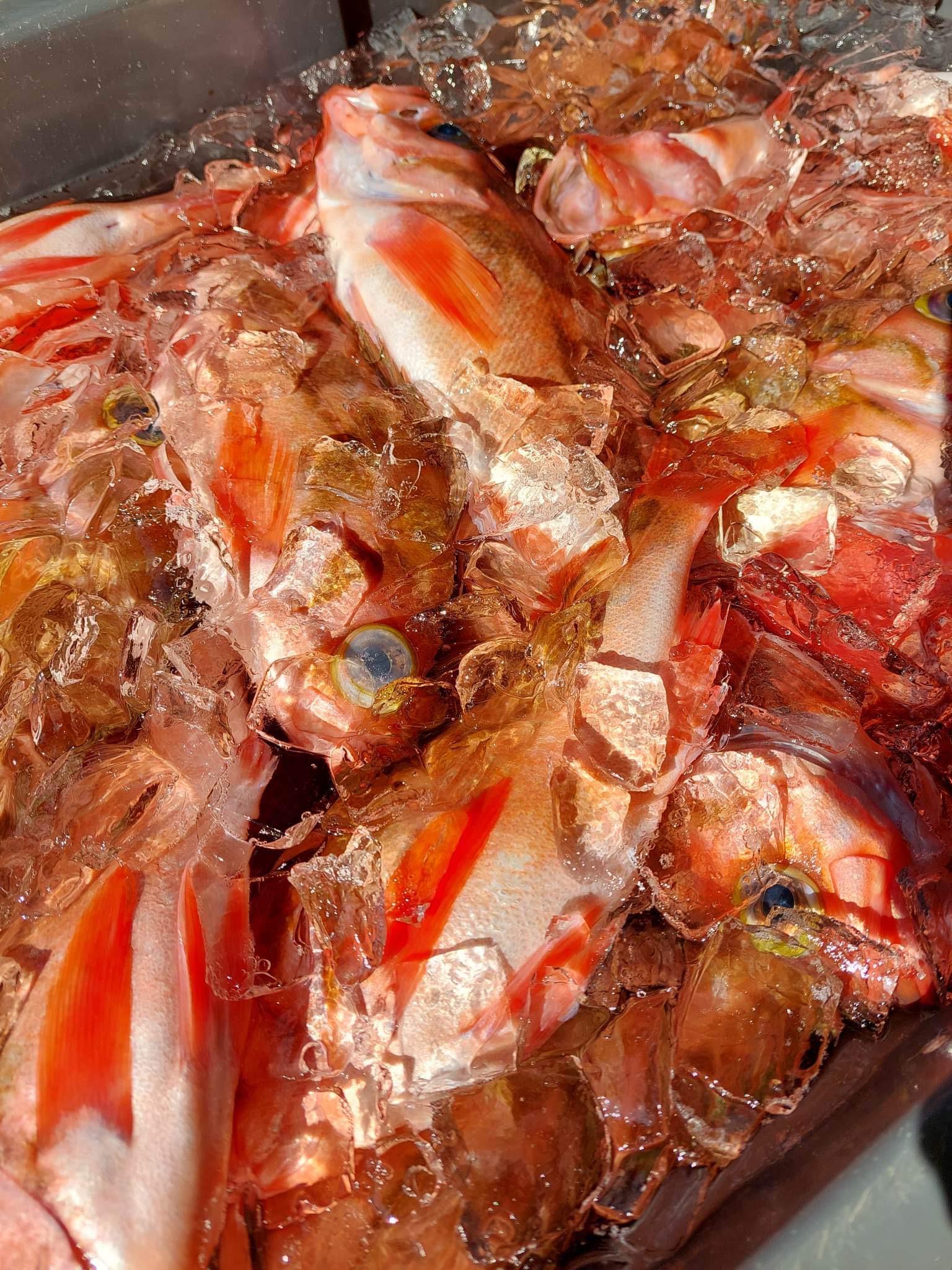 岩手　普代村から