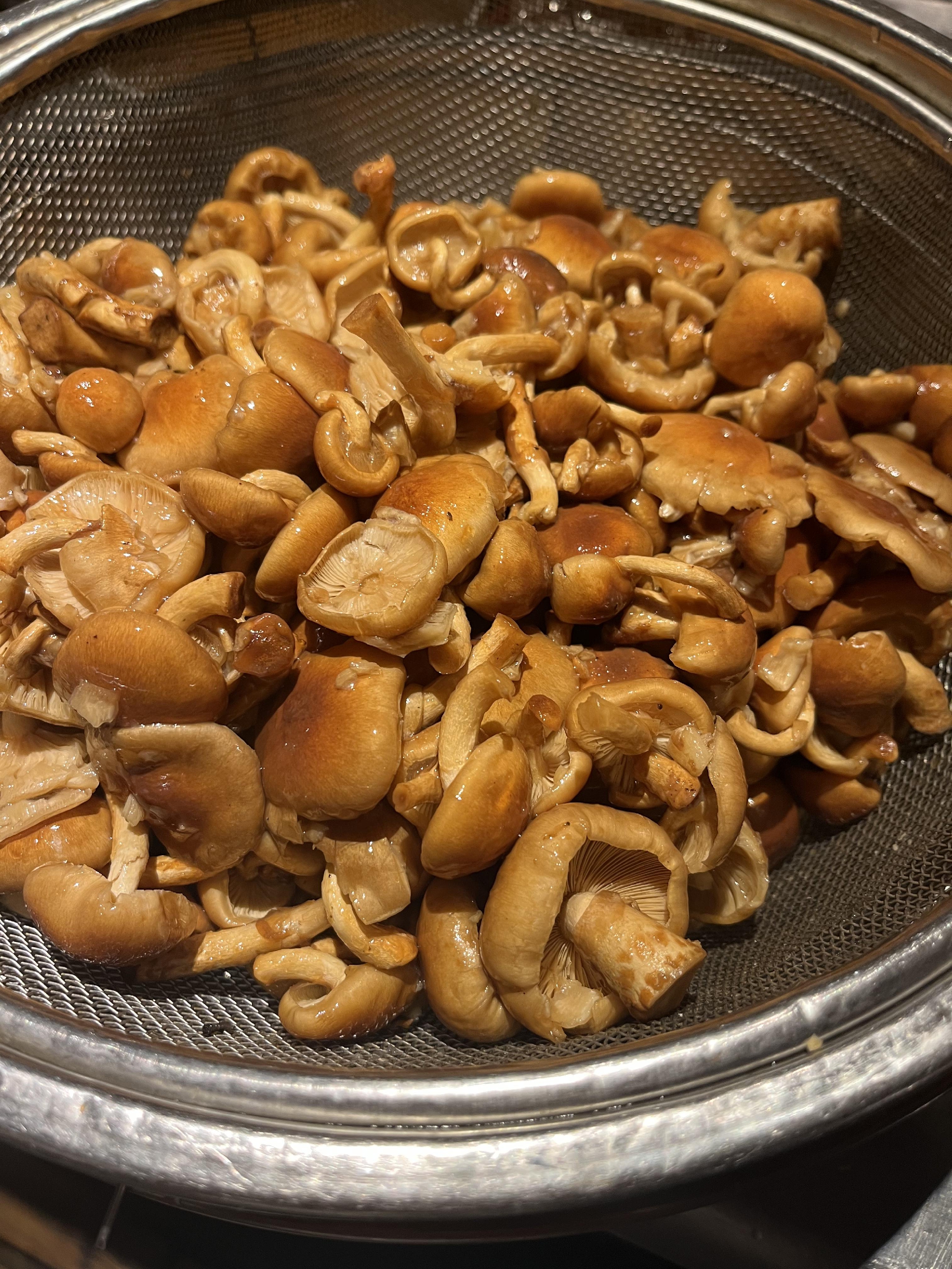 岩手産　天然ナメコ