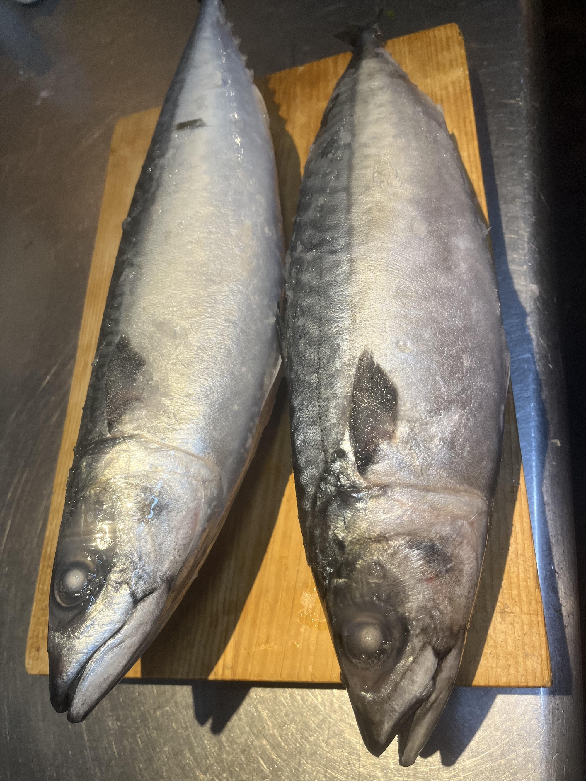 急速冷凍の技術の進歩　塩釜　仁王さば