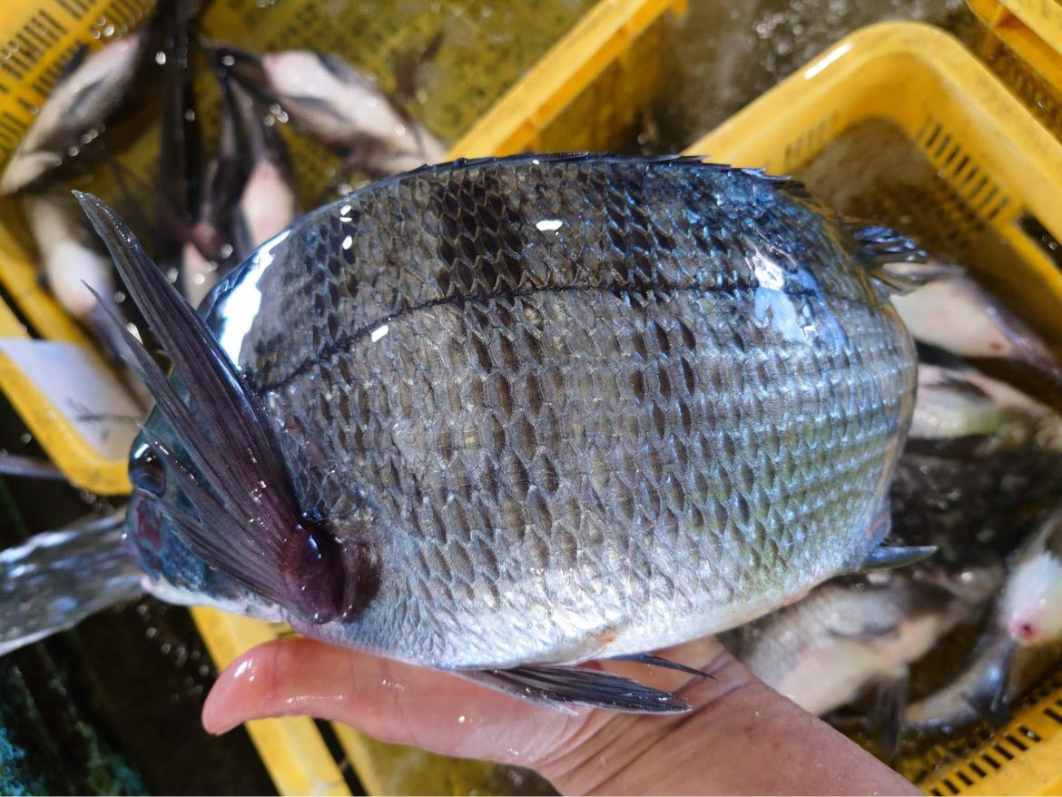 産地の方々や、仕入れ先の方々と共に…