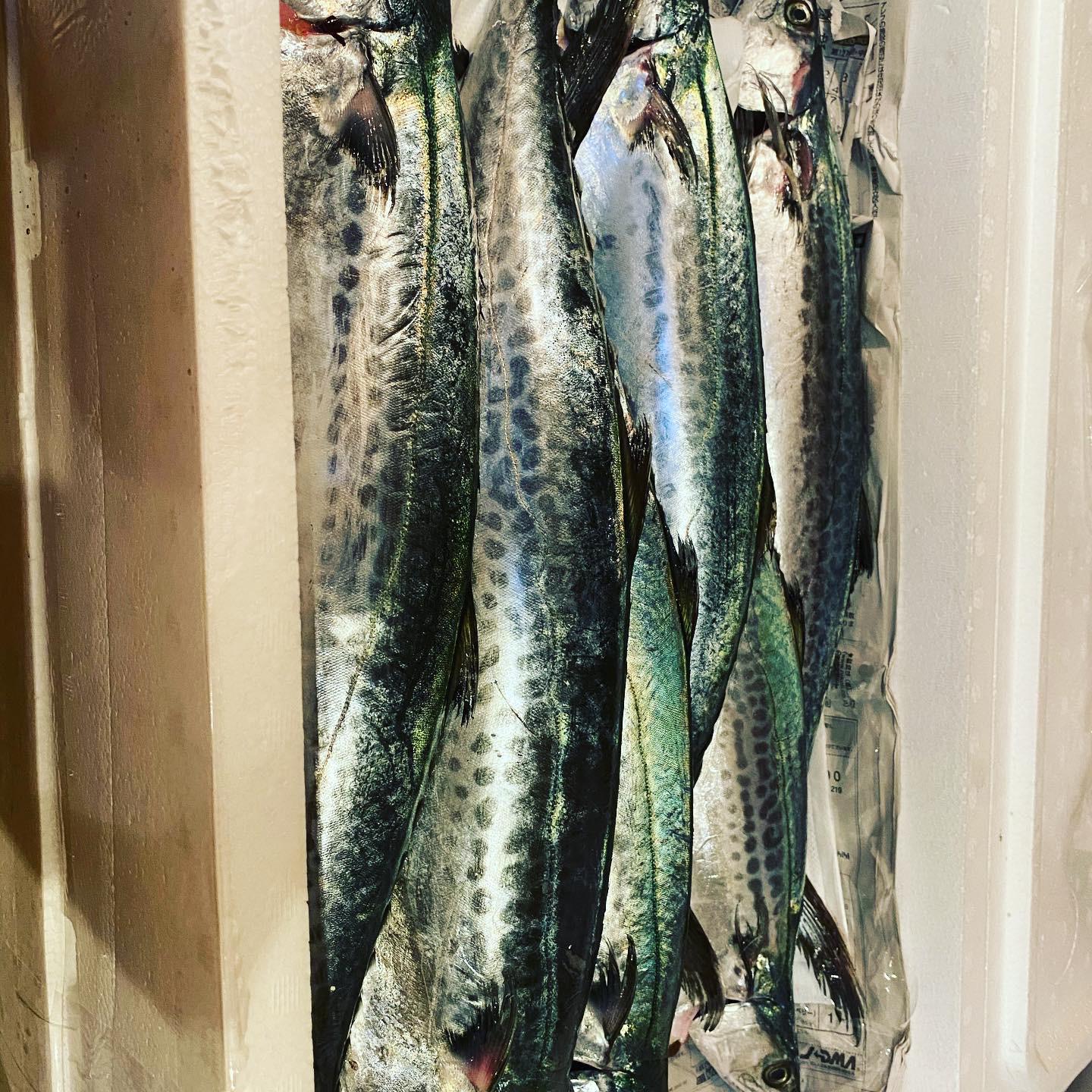 本日の夜の営業は仕込みの為、お休みさせていただきます。