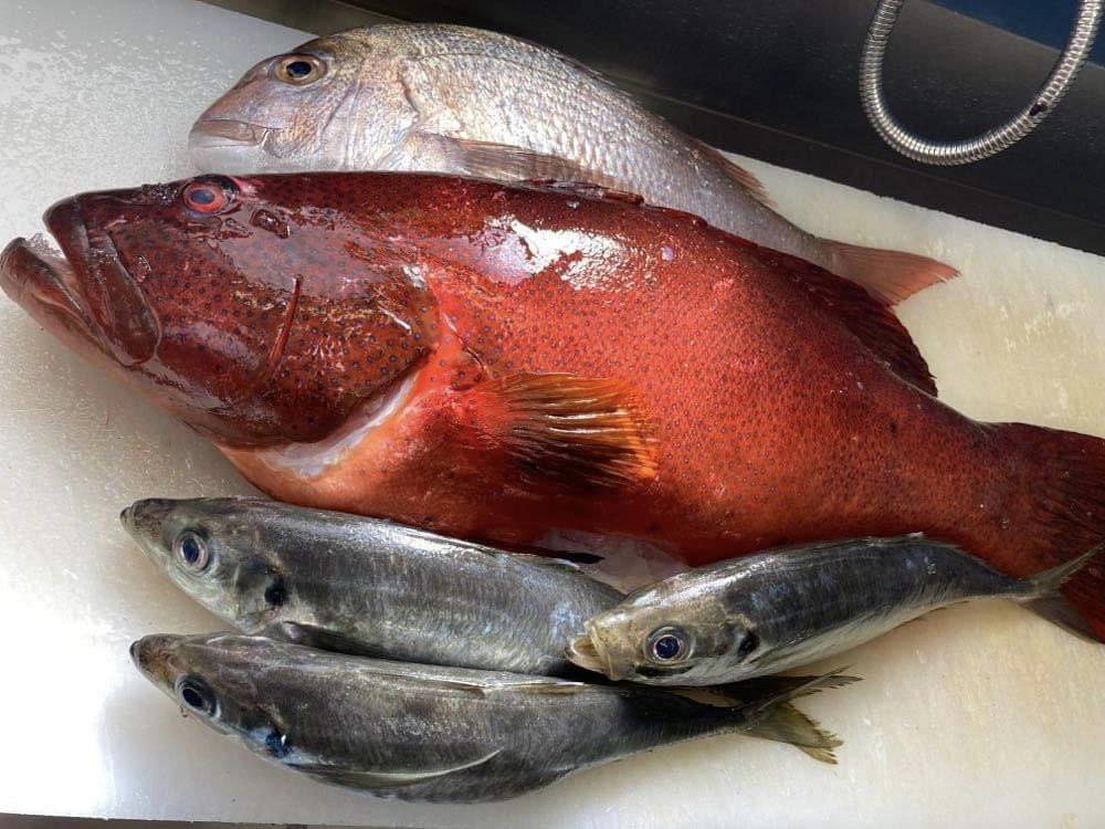 天皇誕生日　本日は、祭日ですが、ランチだけ営業いたします。