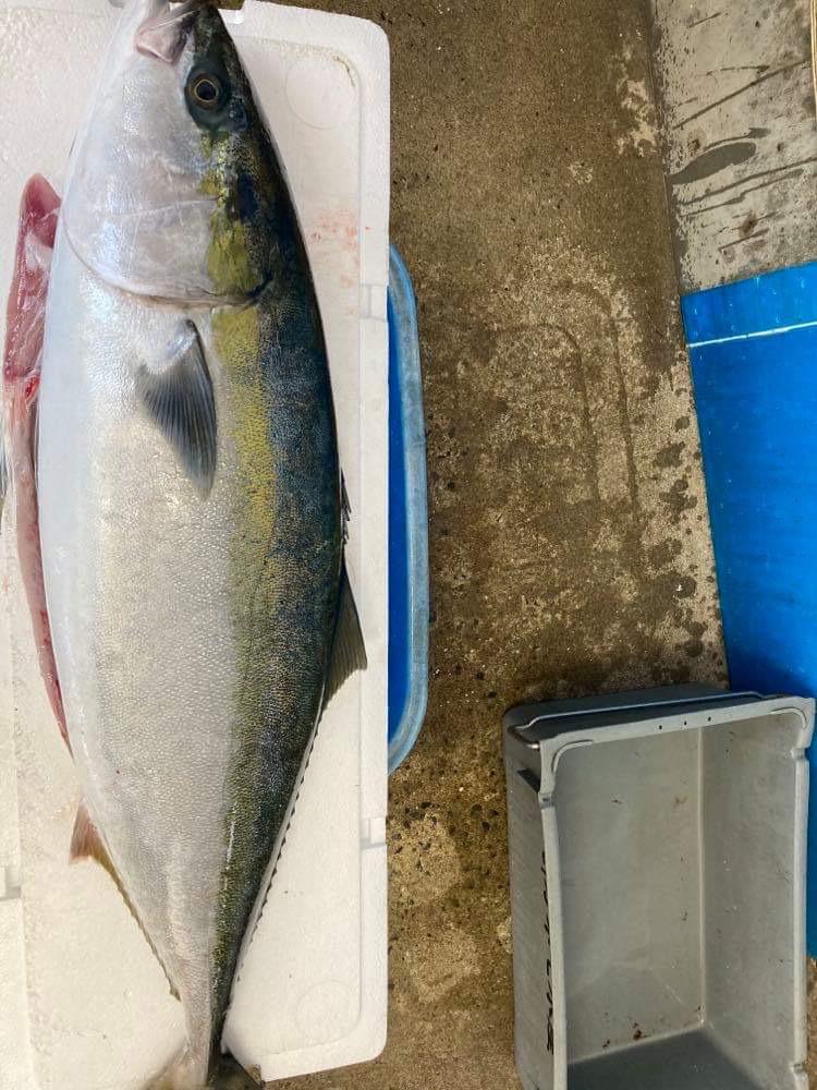 本日の入荷は、五島列島　福江島　林鮮魚店さんから