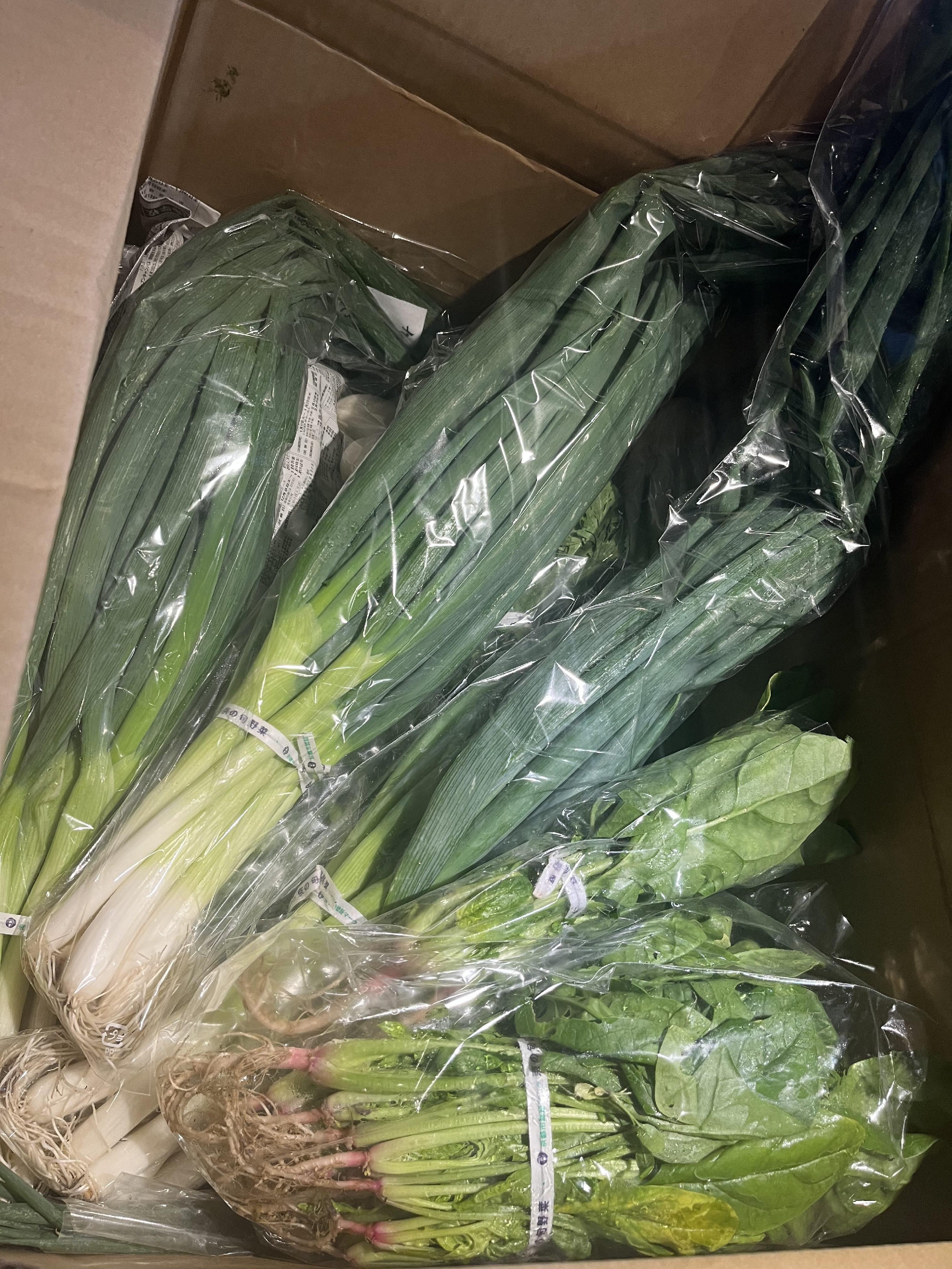 京野菜　佐伯さんの無農薬野菜たち