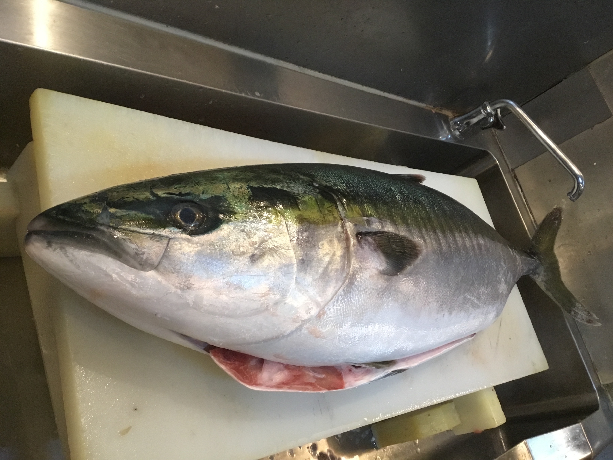 長崎 五島列島 福江島 10.７キロ 寒ぶり