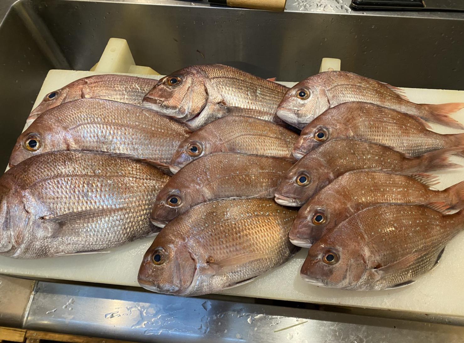 本日の夜の営業は、予約の問い合わせがありませんでしたので、お休みいたします。