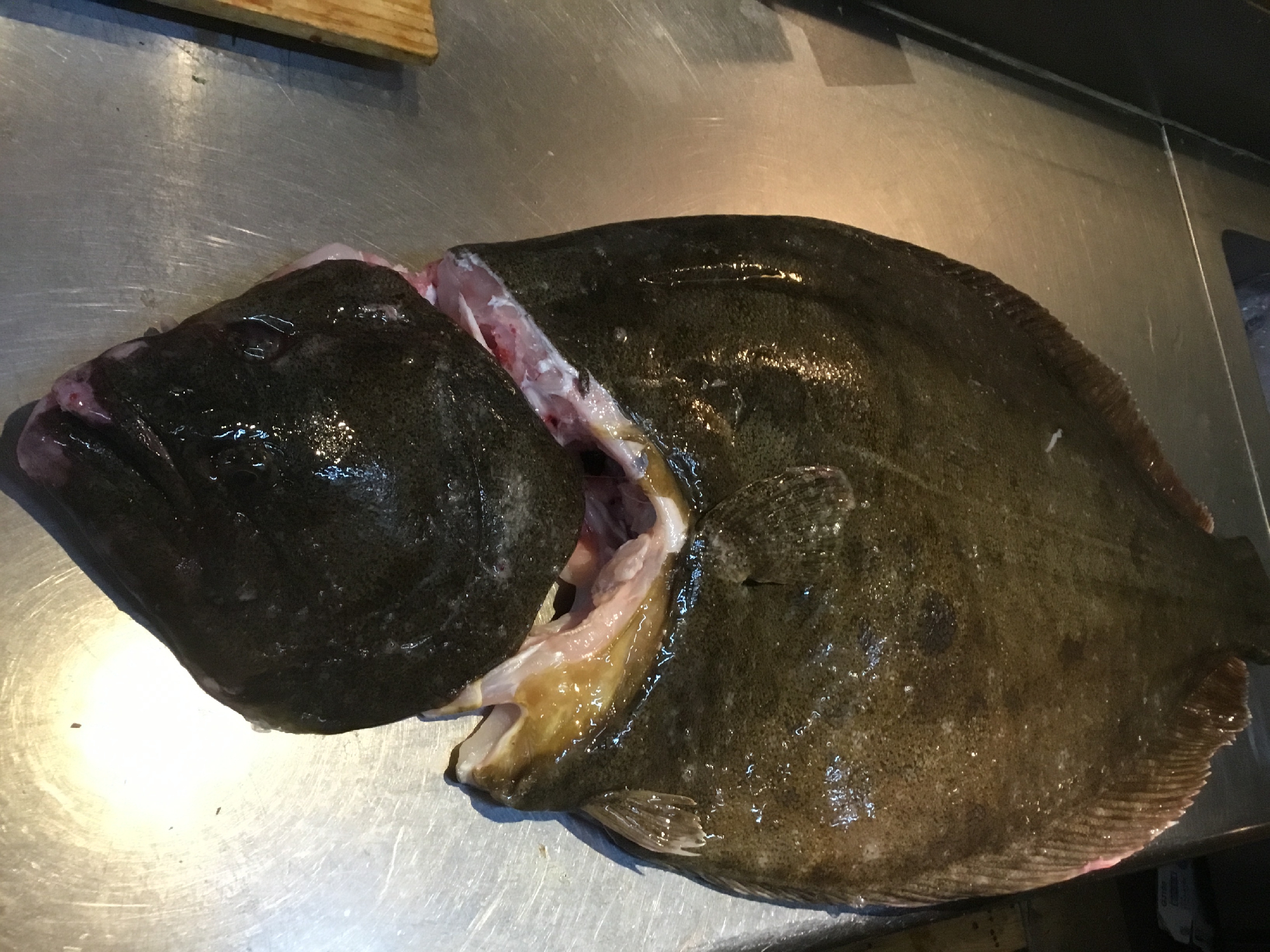 長崎 五島列島 福江島 10.5キロの神経〆 天然ひらめ 特別料理