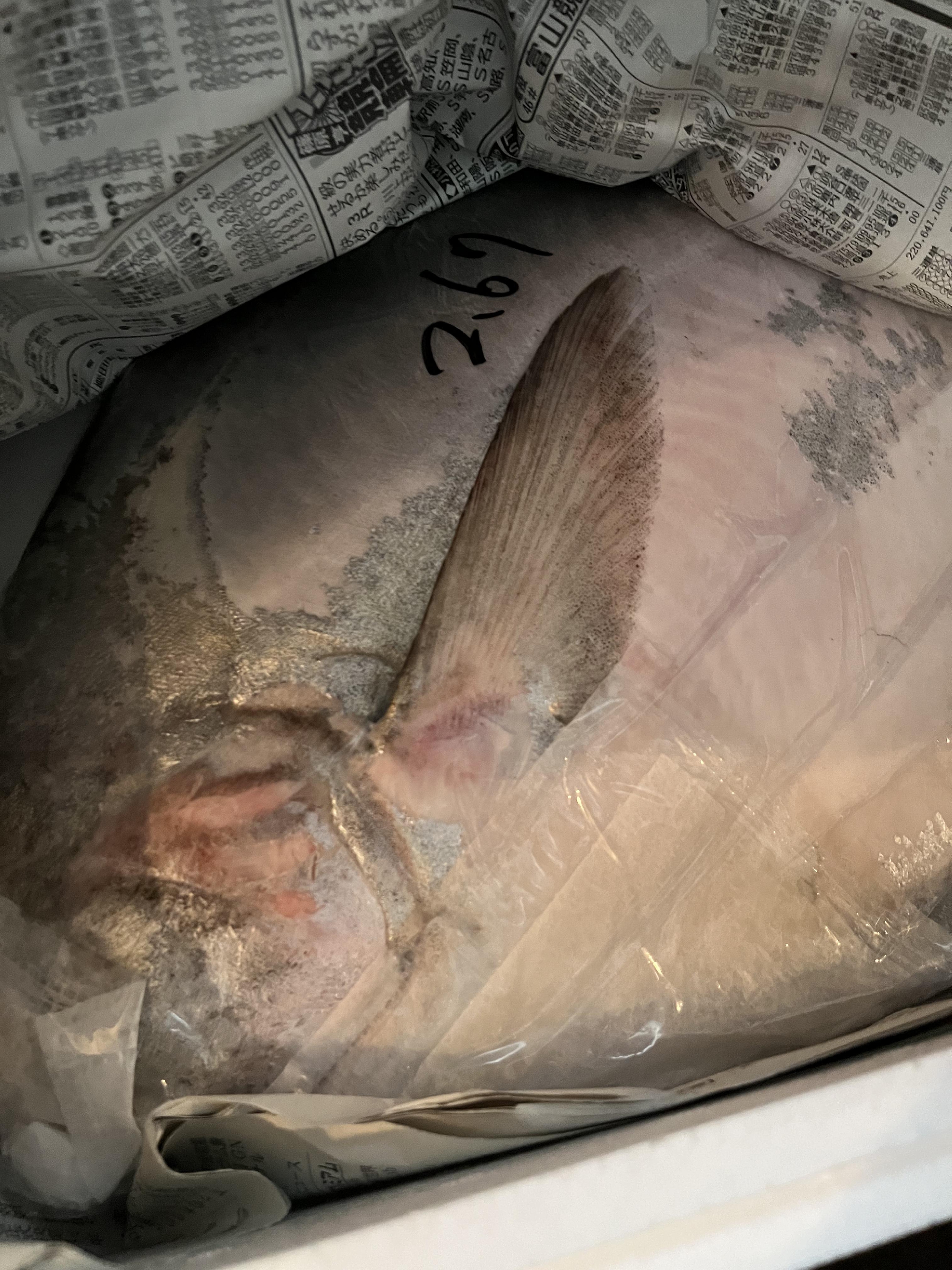 本日の夜の営業は、お休みいたします。