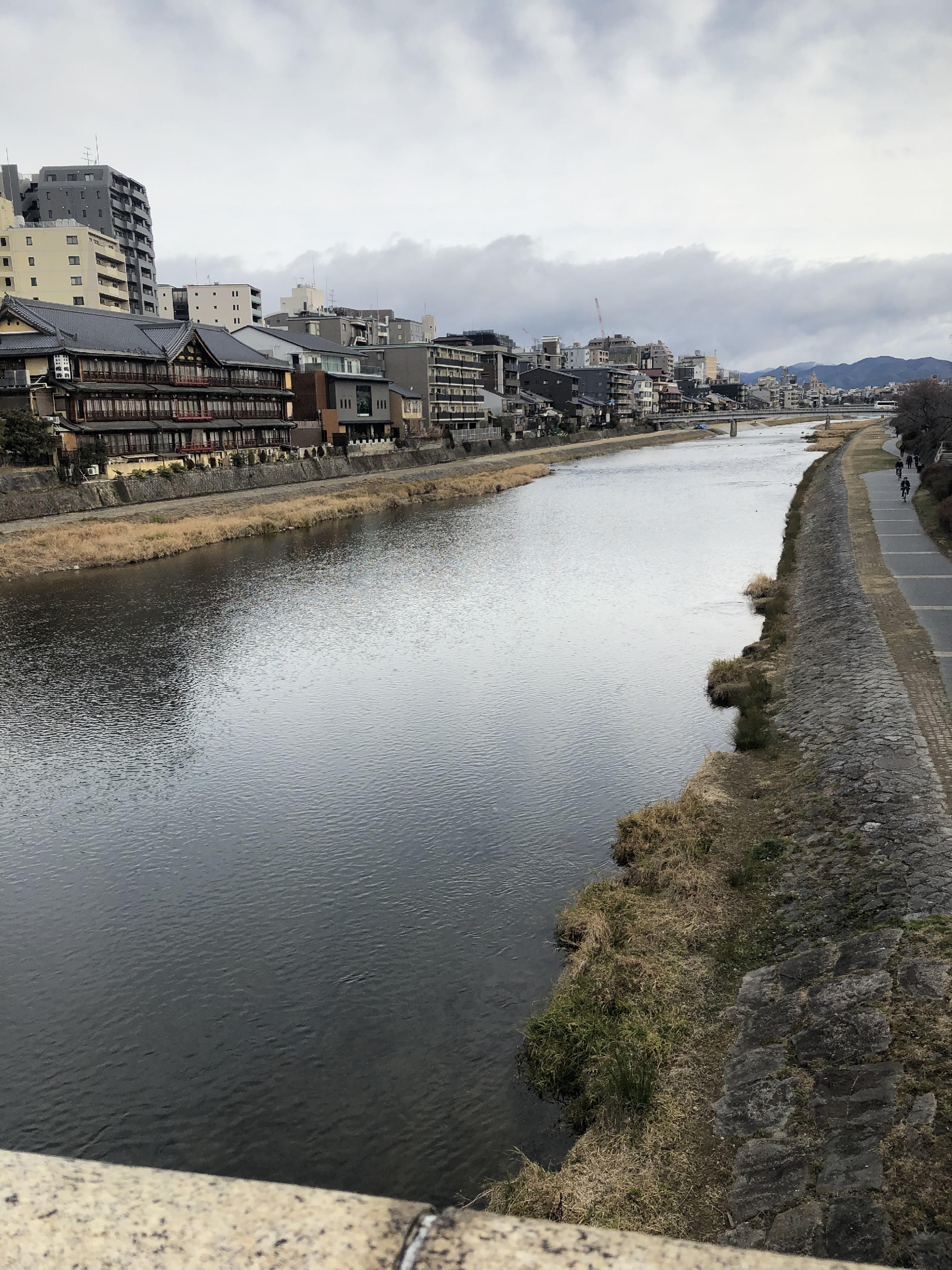 冬の京野菜 京野菜産地交流会に行ってきました。