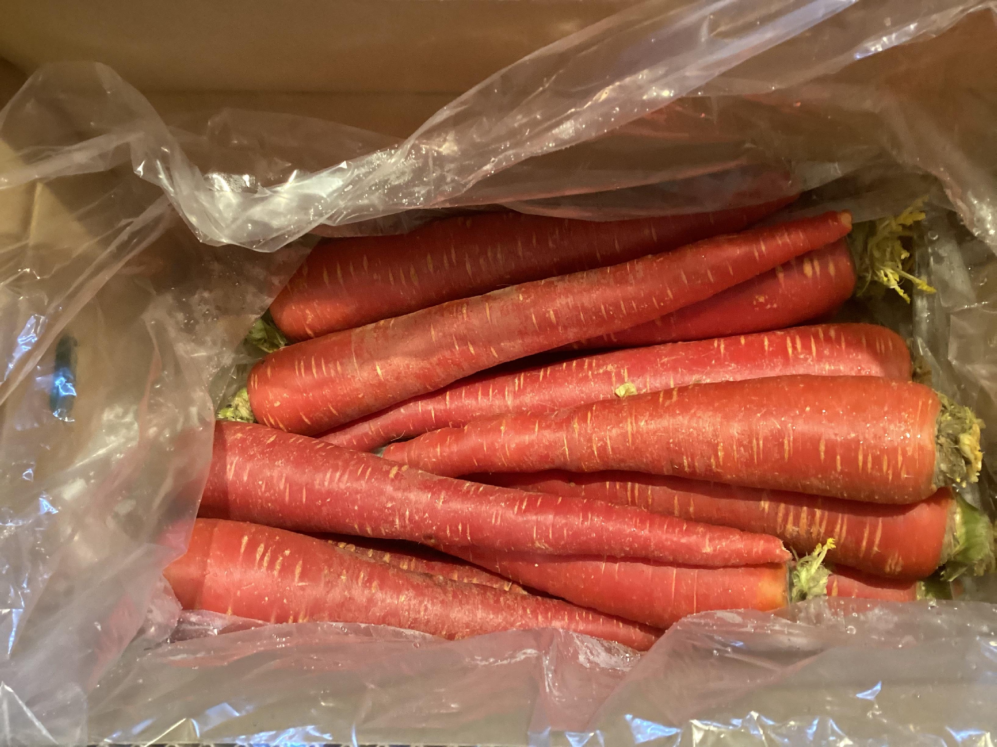 おせち料理の仕込み　京人参