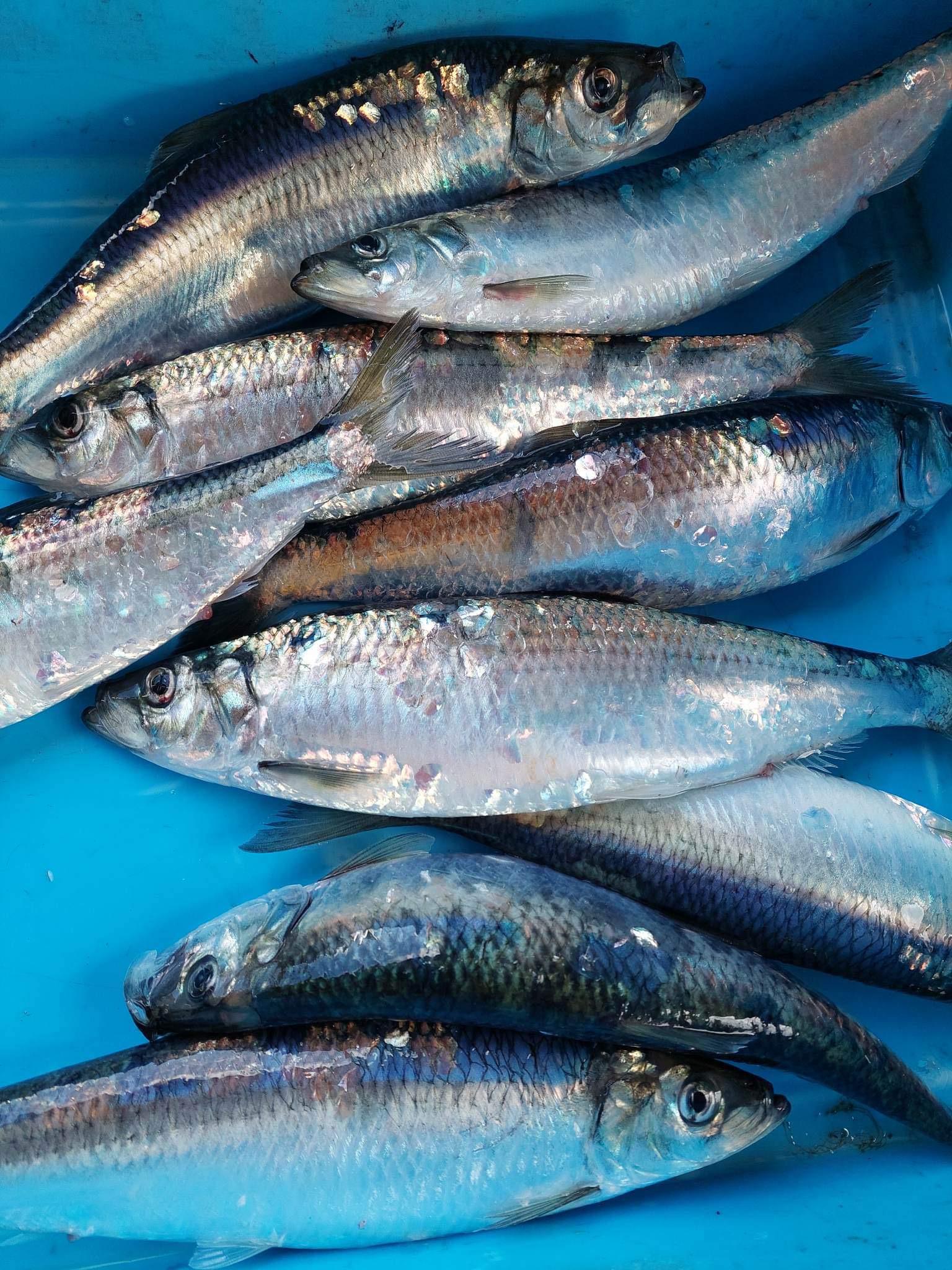 岩手　普代村から