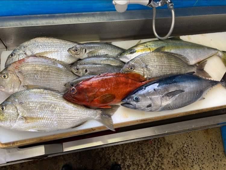 五島列島　福江島　林鮮魚店さんより