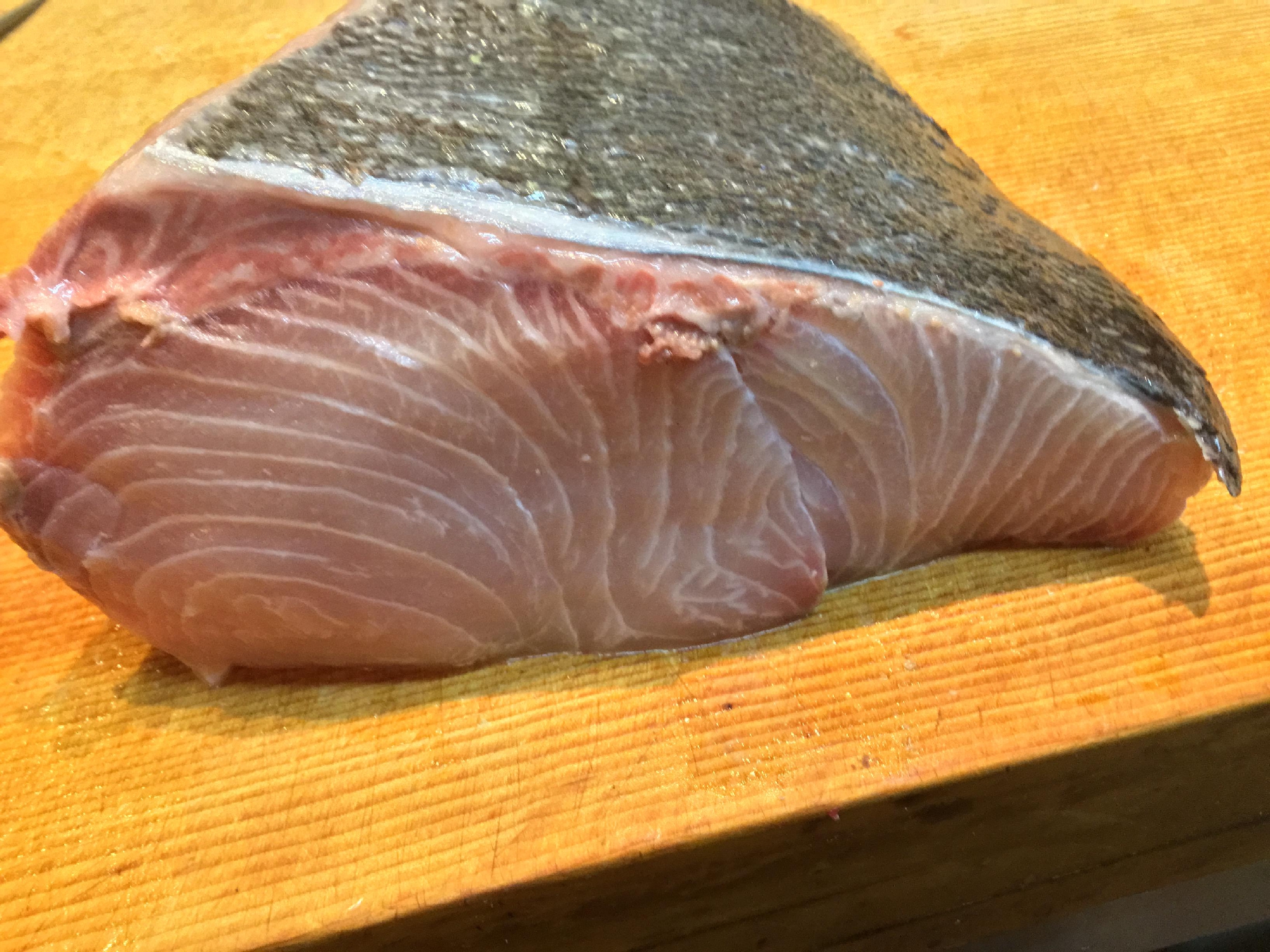 熊野灘 43キロ神経〆天然カンパチ 15日熟成