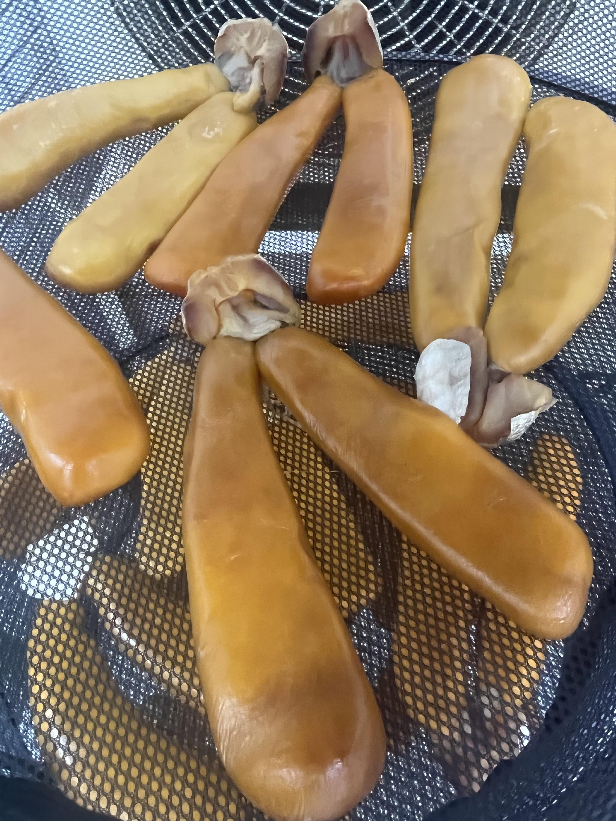 唐墨の仕込み3  風を読み、乾燥を読む