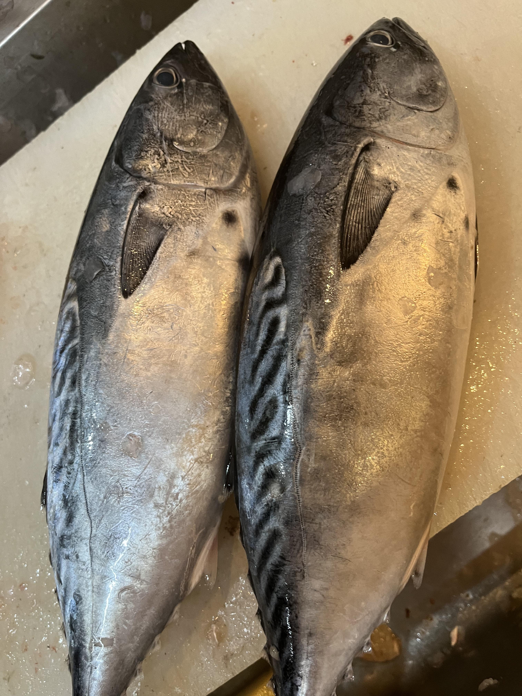 年末年始の営業