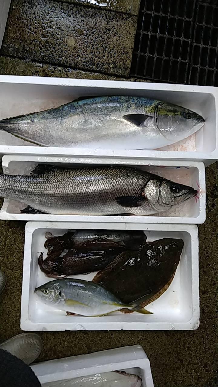 全国的に時化が続く中、産地から送られてくる今週の大切な魚たち