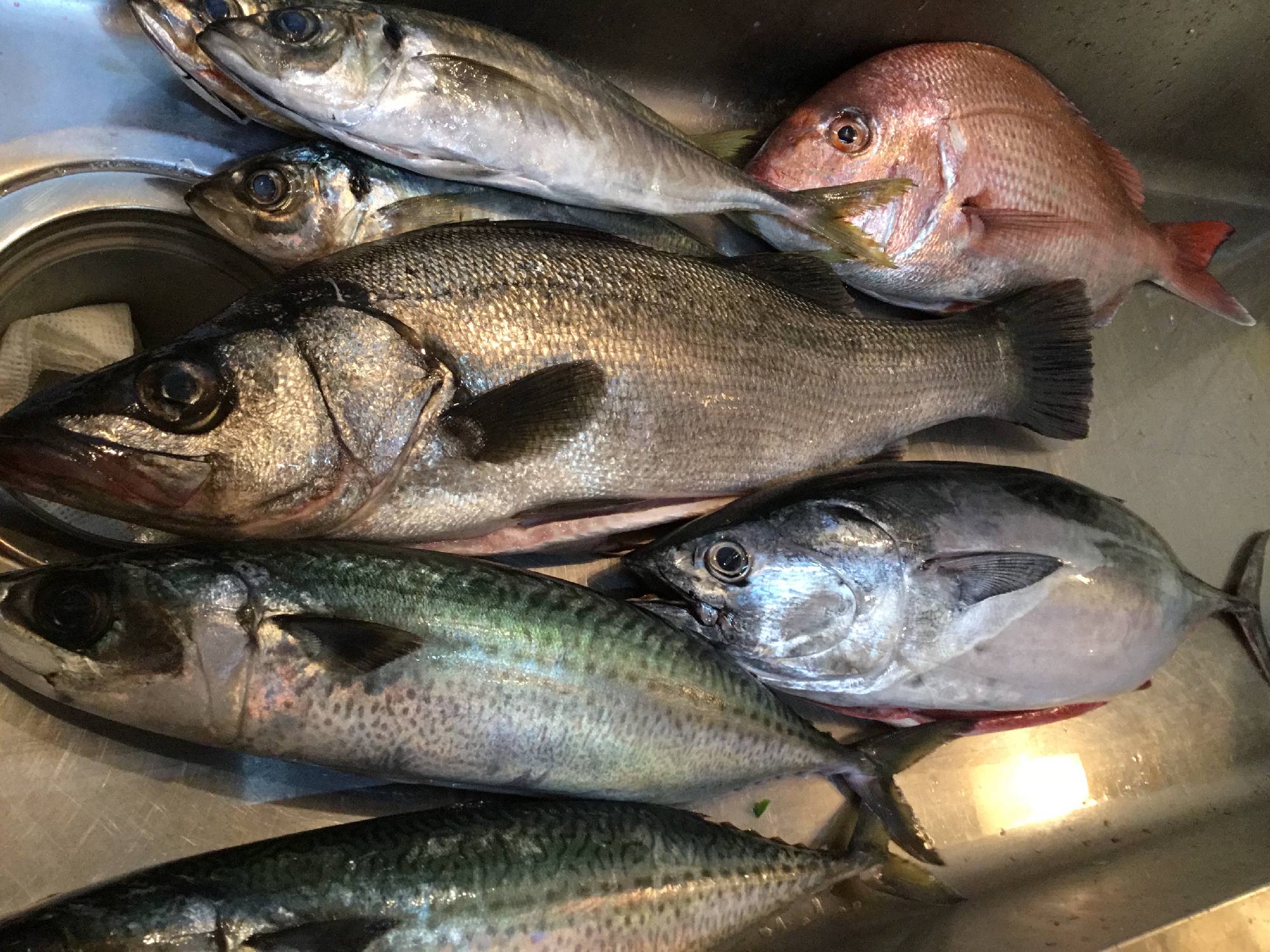 年始を飾るのは、五島列島 福江島の魚達 1月2〜4日まで営業いたします！