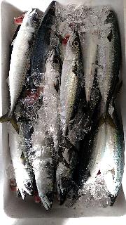 真さばを使ったつみれ