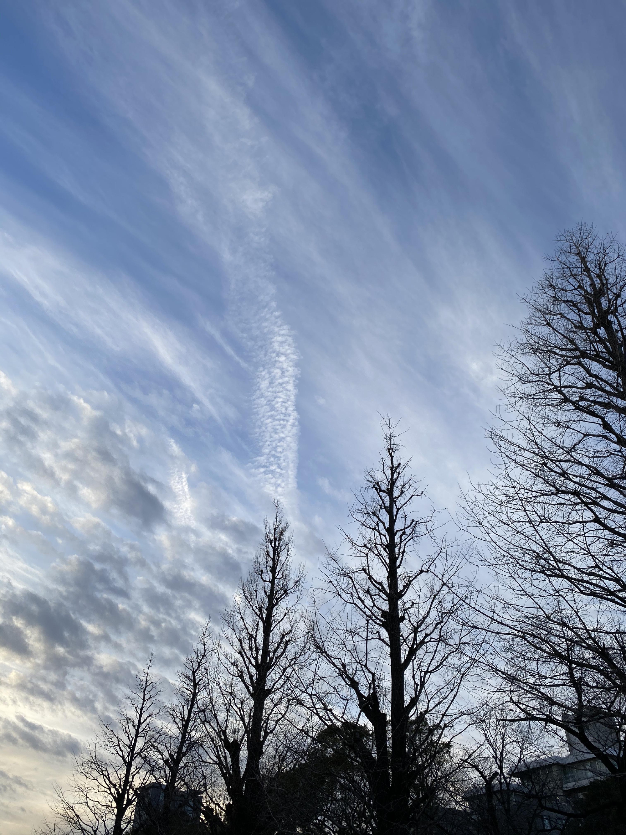 明日、建国記念日はお休みさせていただきます。