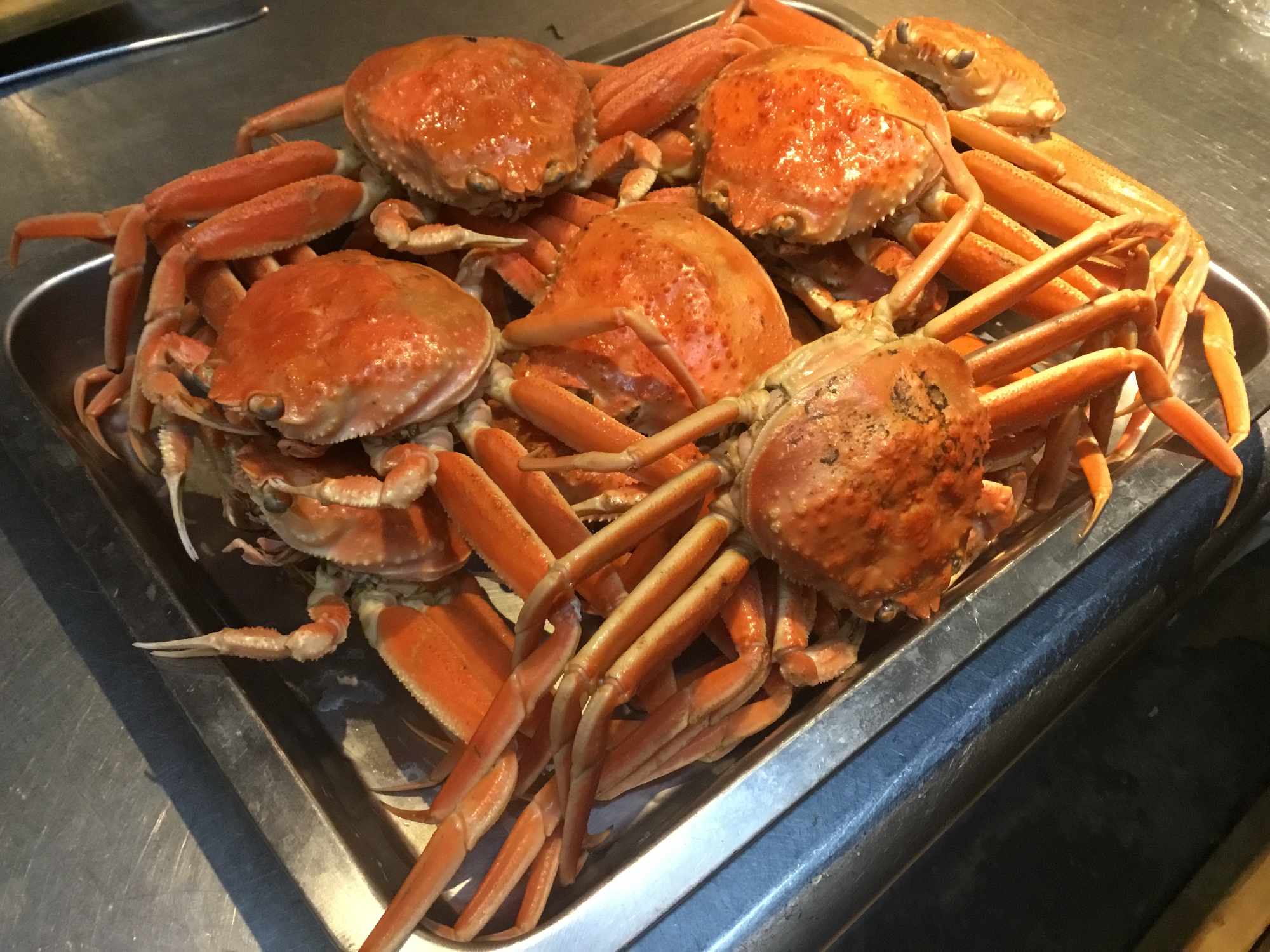 京丹後 せいこがに