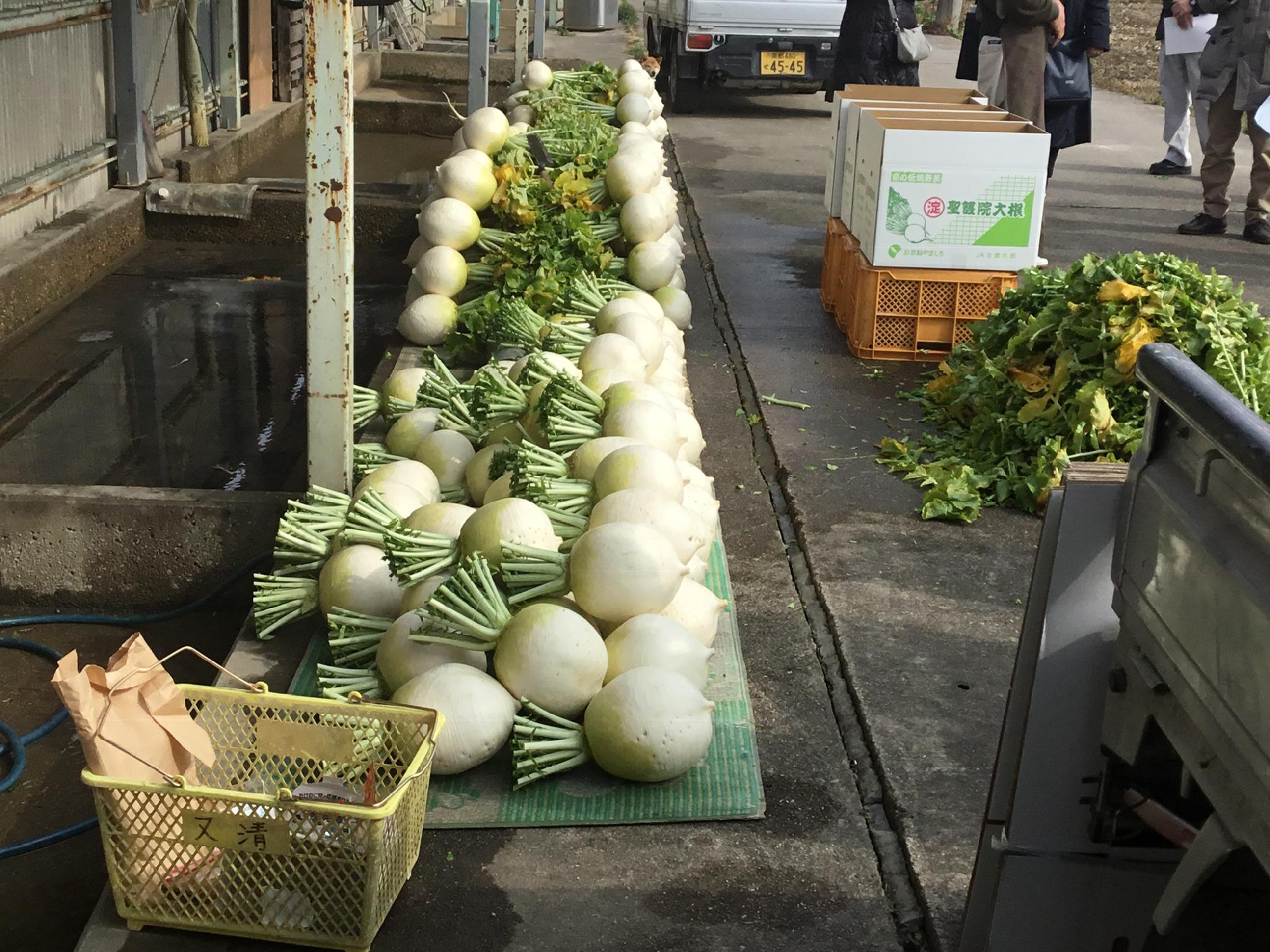 京野菜　京都府とJA京都主催　京のおもてなしフェア
