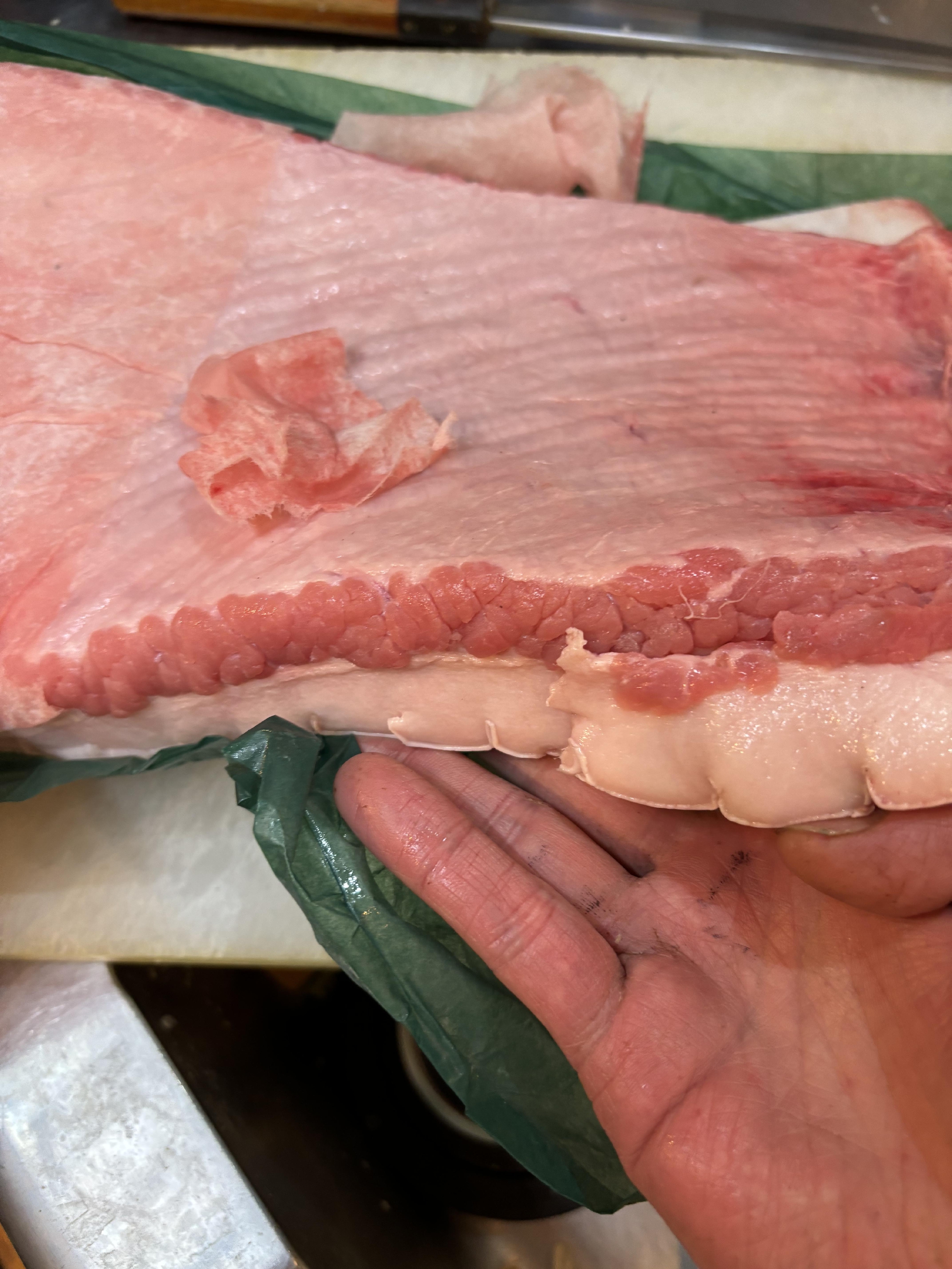 三重　熊野灘　生ミンク鯨　鯨は海のジビエ