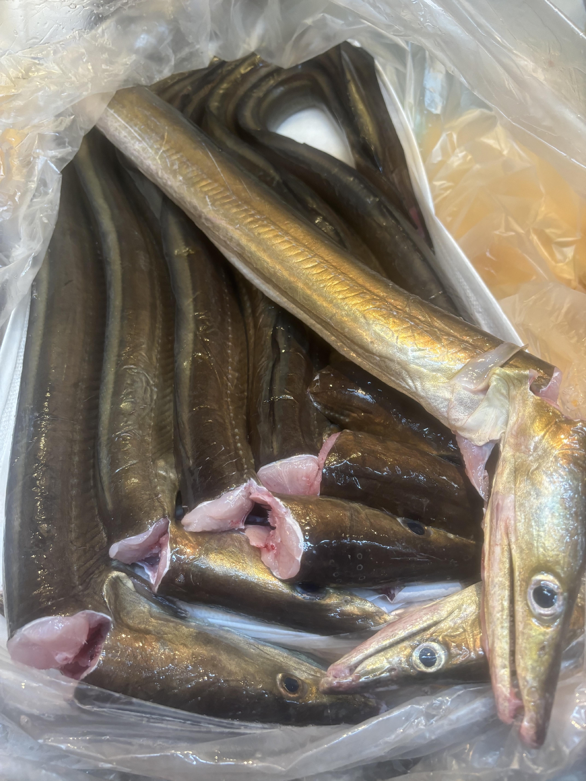 20周年　特別ランチメニュー　鱧だしらうめん