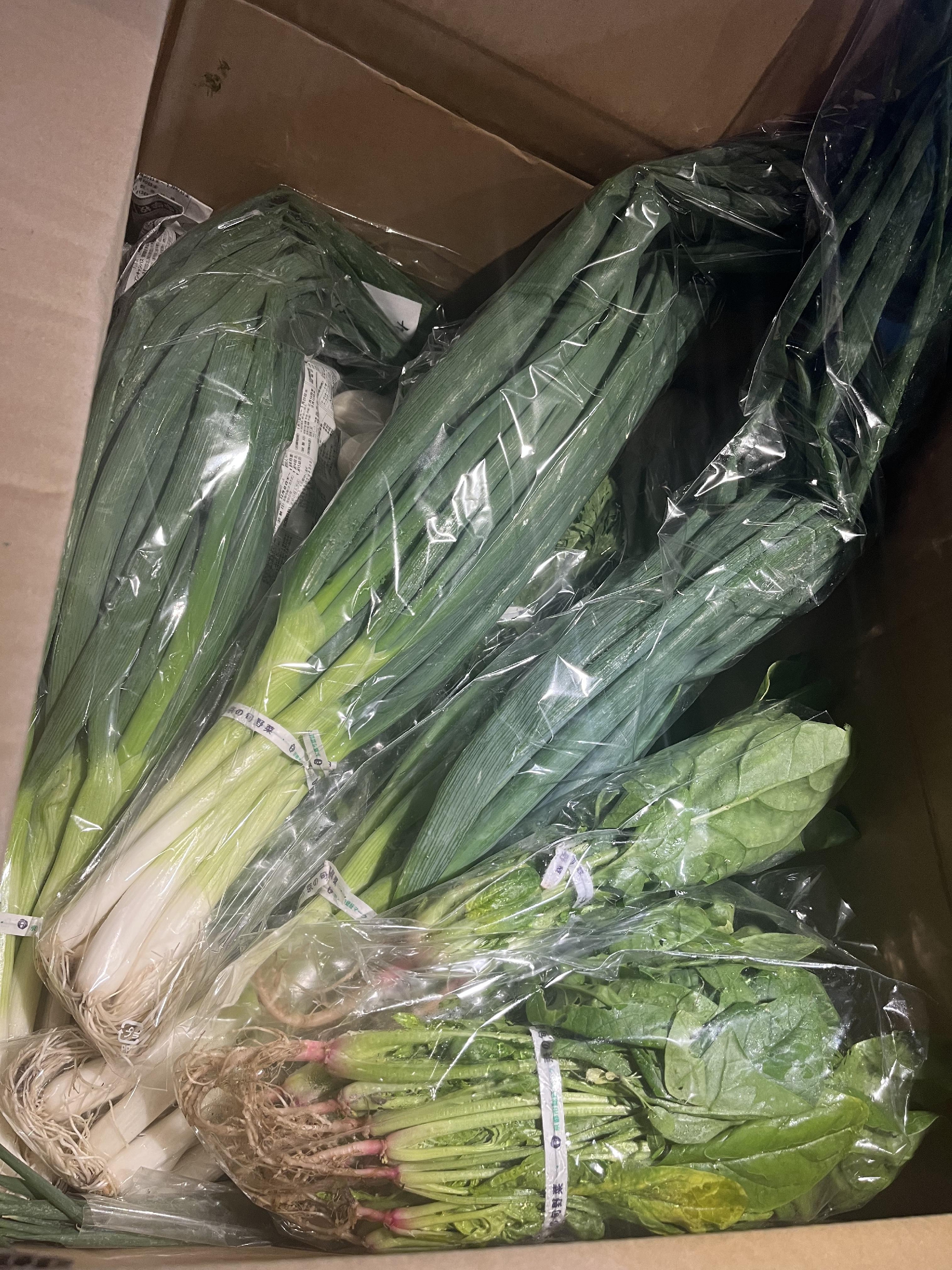 京野菜マイスター　佐伯さんの無農薬京野菜