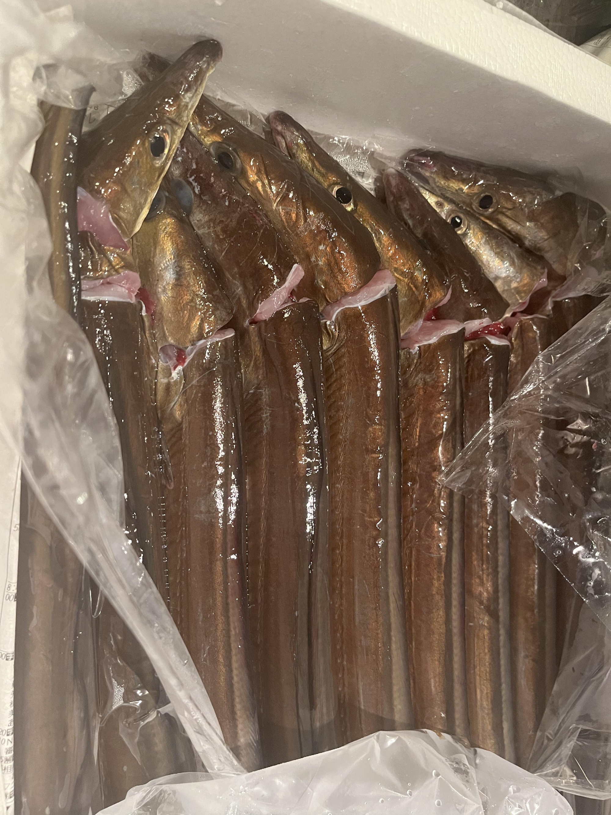 6月24日　土曜日、夜の営業はお休みいたします。