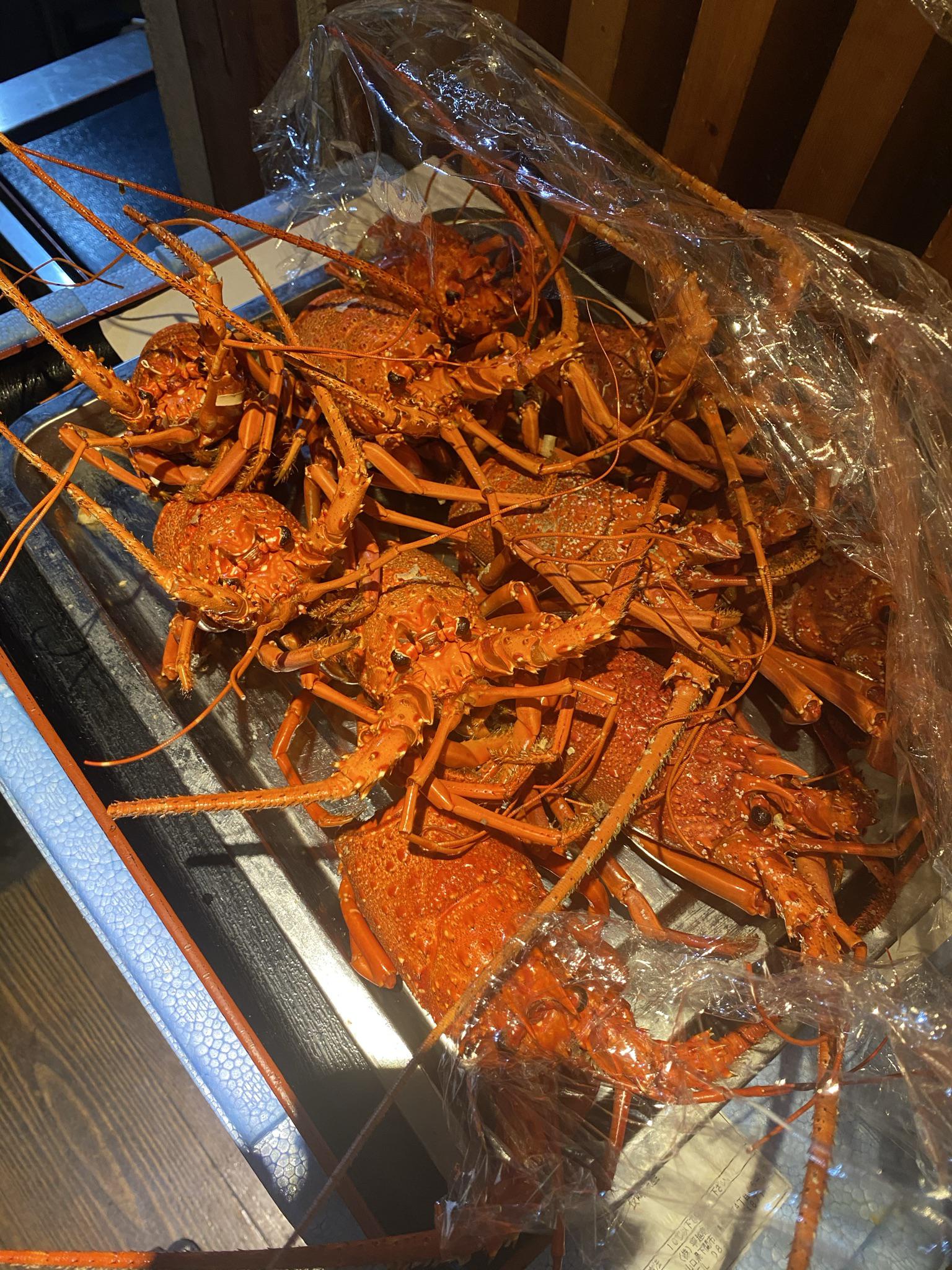 新年あけまして、おめでとうございます。　本年もよろしくお願い申し上げます。