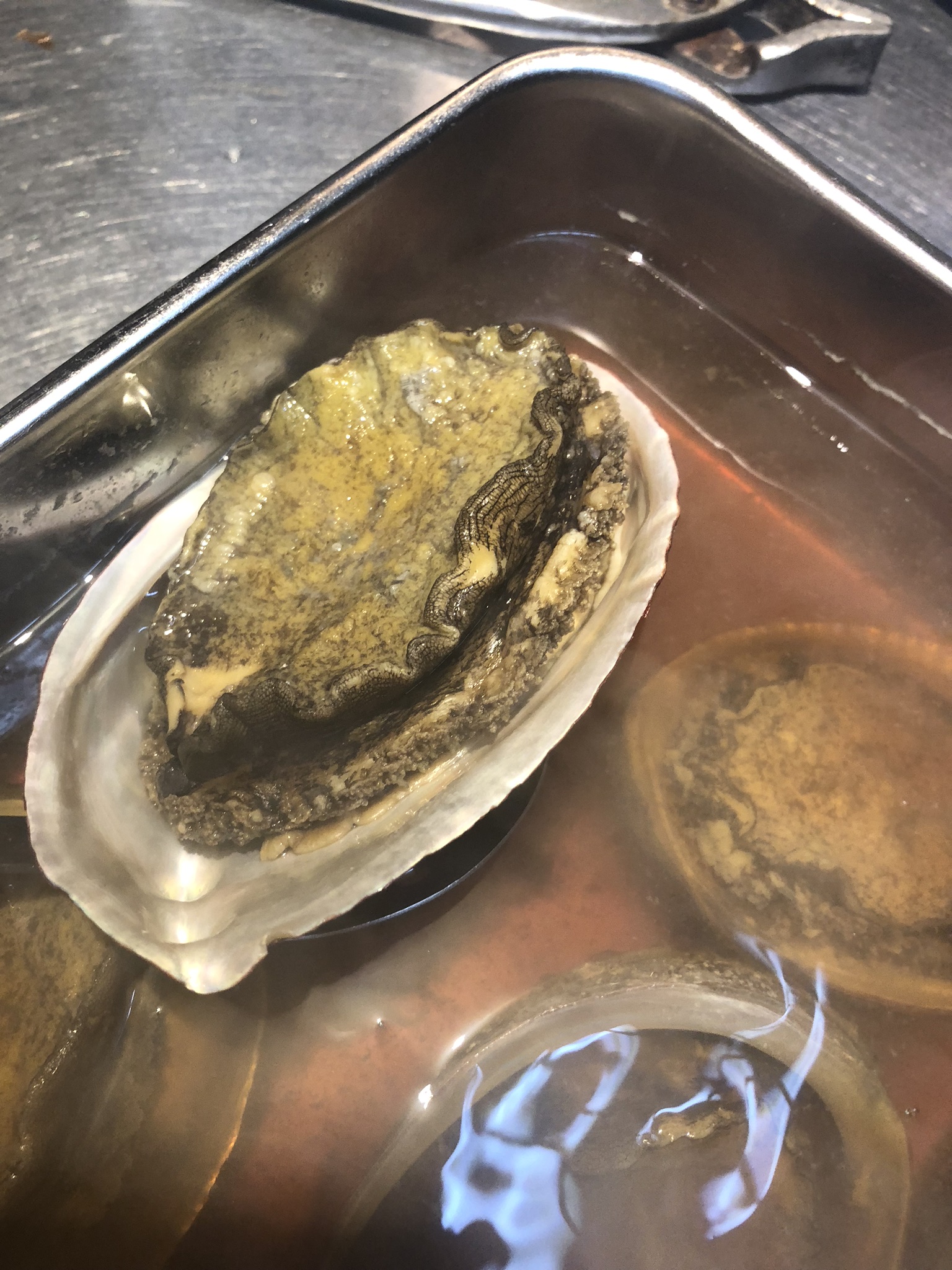 11月が終わり…