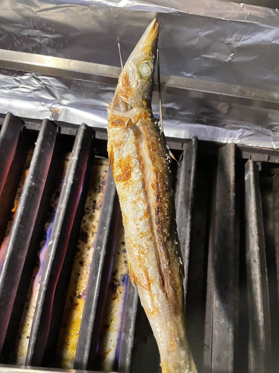 今が旬　三重のカマス