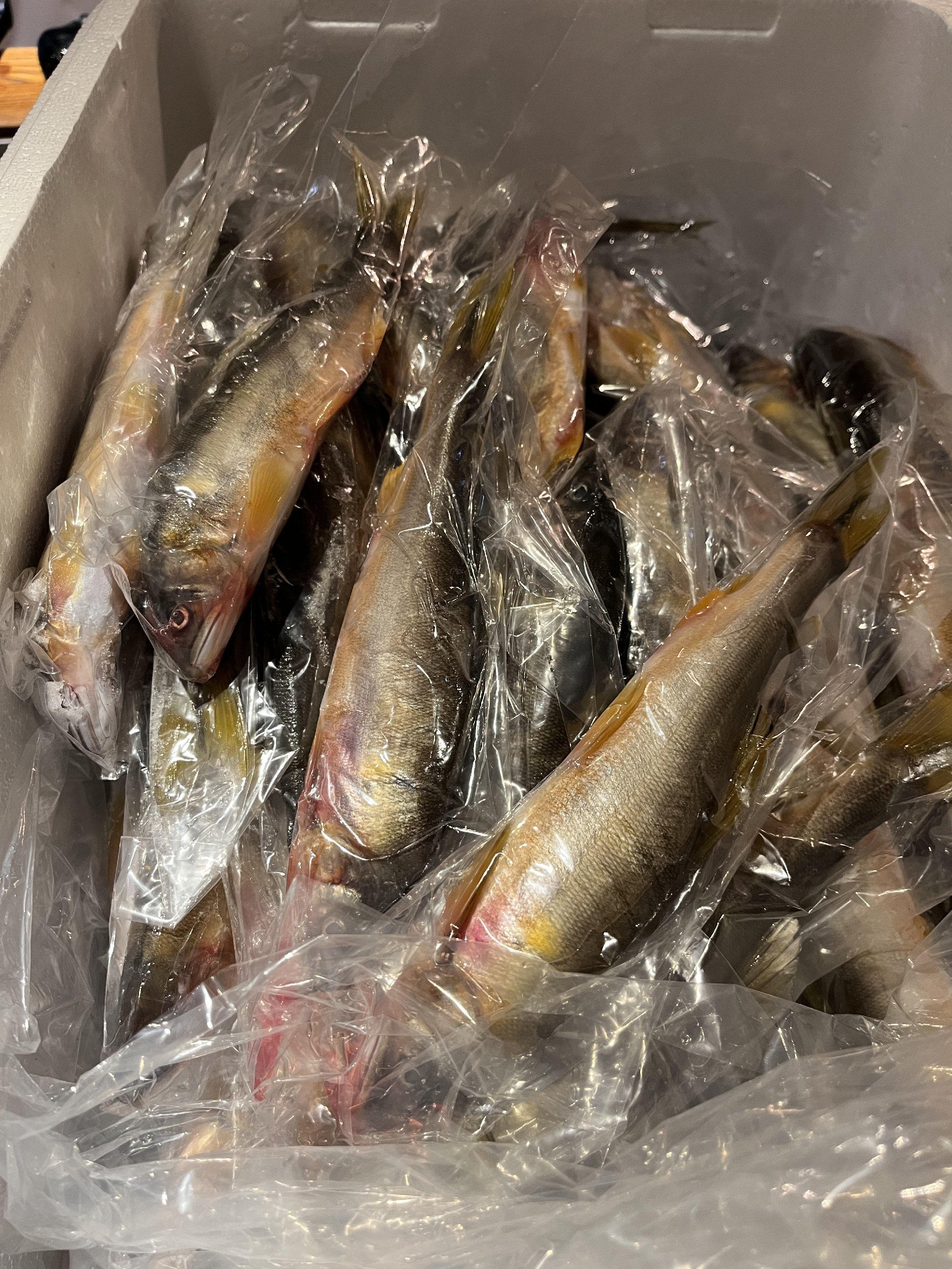 天然鮎　おせち料理の仕込み