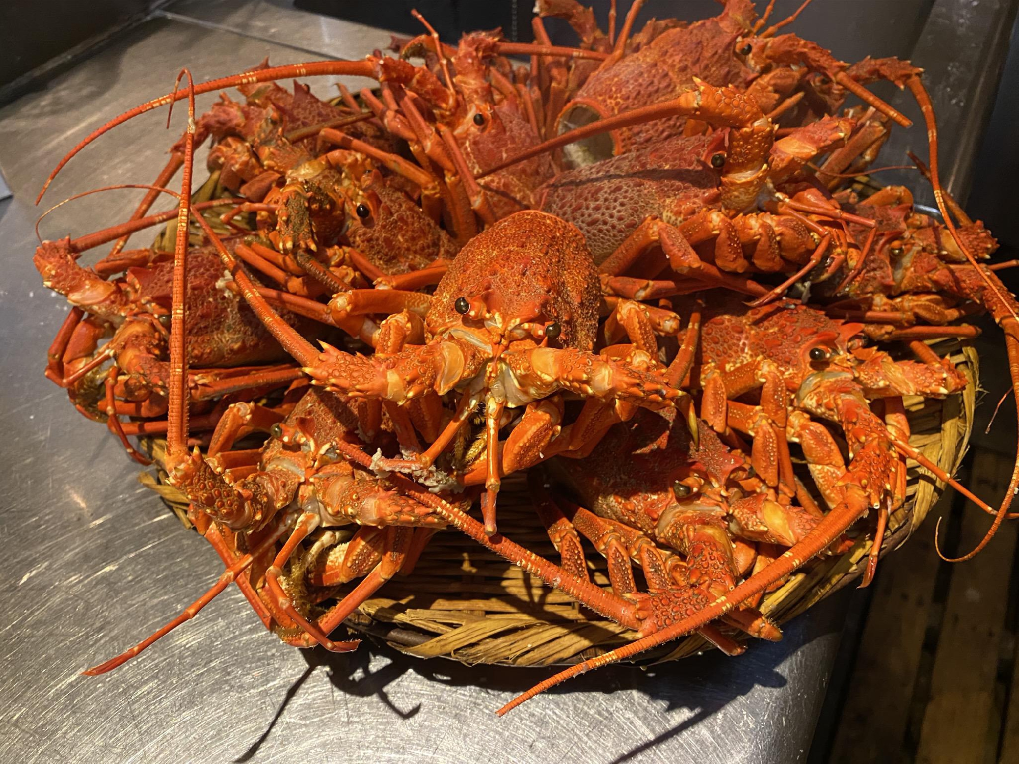 新年明けましておめでとうございます。本年も宜しくお願い申し上げます。